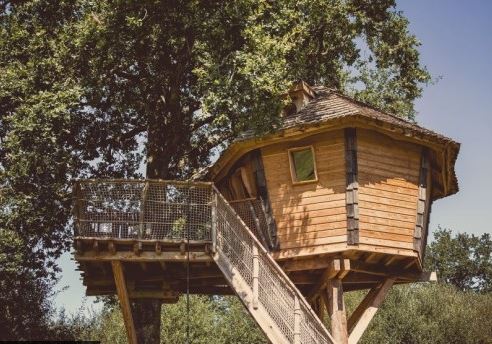 Cabane Lapone : une expérience suspendue dans les arbres à Pommerieux — vue intérieure