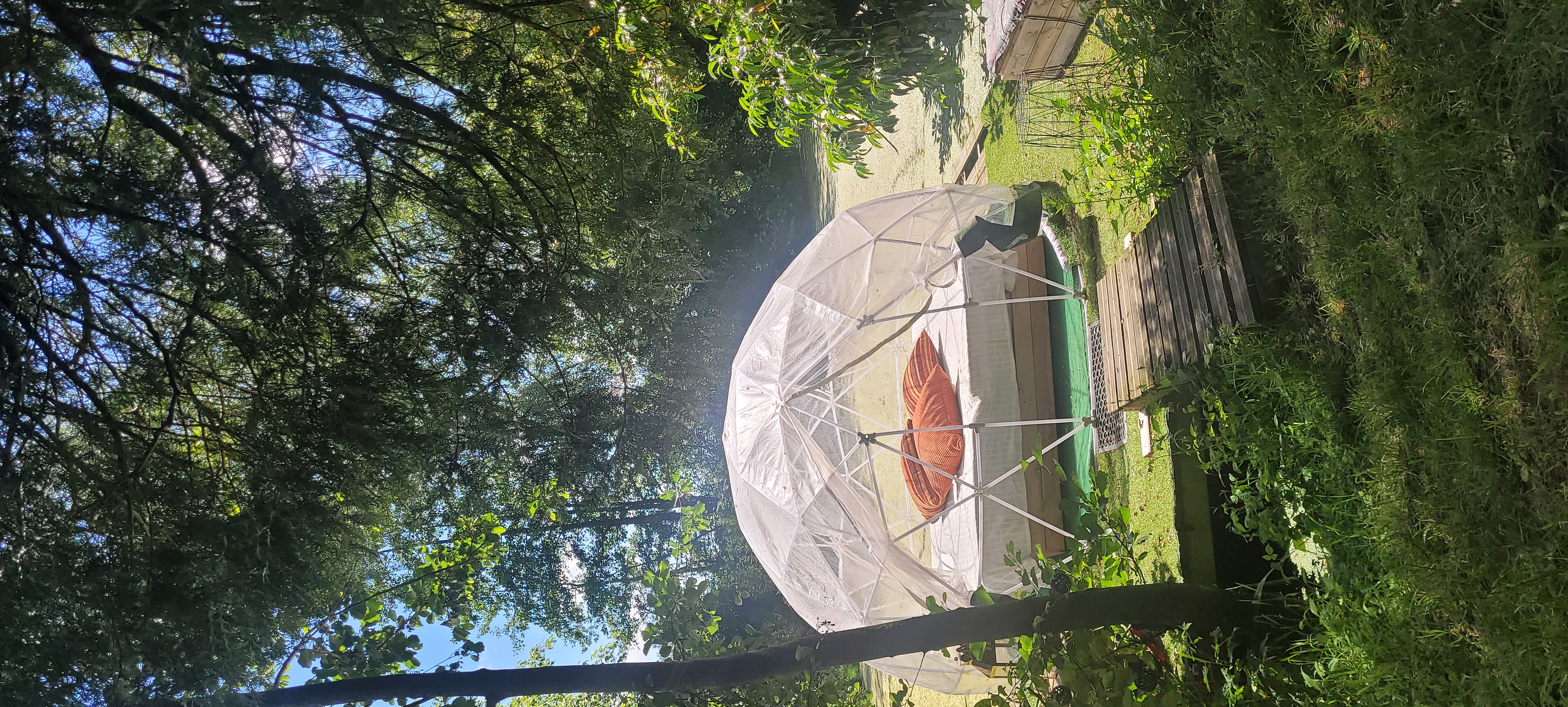 La Tête dans les Étoiles