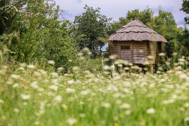 La Palombière : une cabane dans les arbres au cœur des Midi-Pyrénées à Saint-Griède — espace de vie