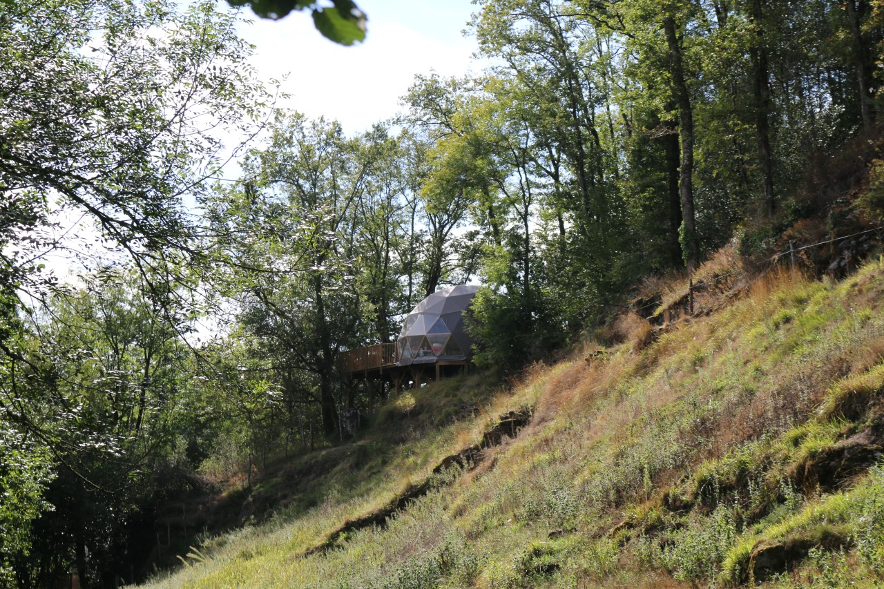 Dôme Spa dans les Arbres : une expérience immersive en Auvergne à Saint Constant — vue intérieure