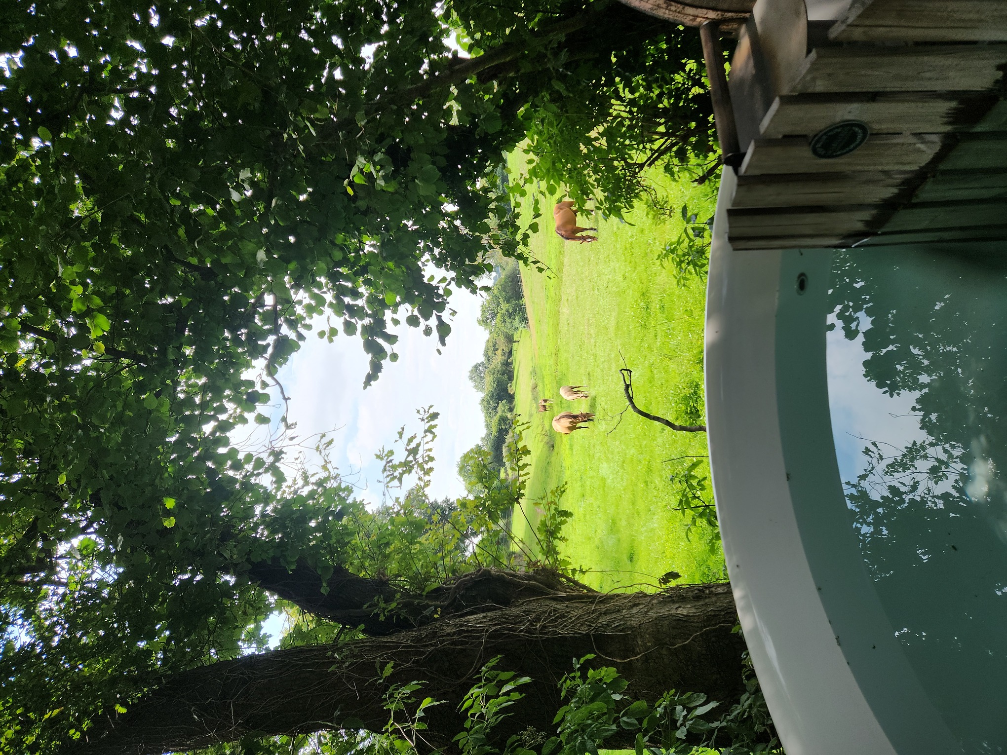 Le Fournil & Bain nordique — Cabane avec spa à Saint-Lô (Manche) à Saint-Lô — vue intérieure