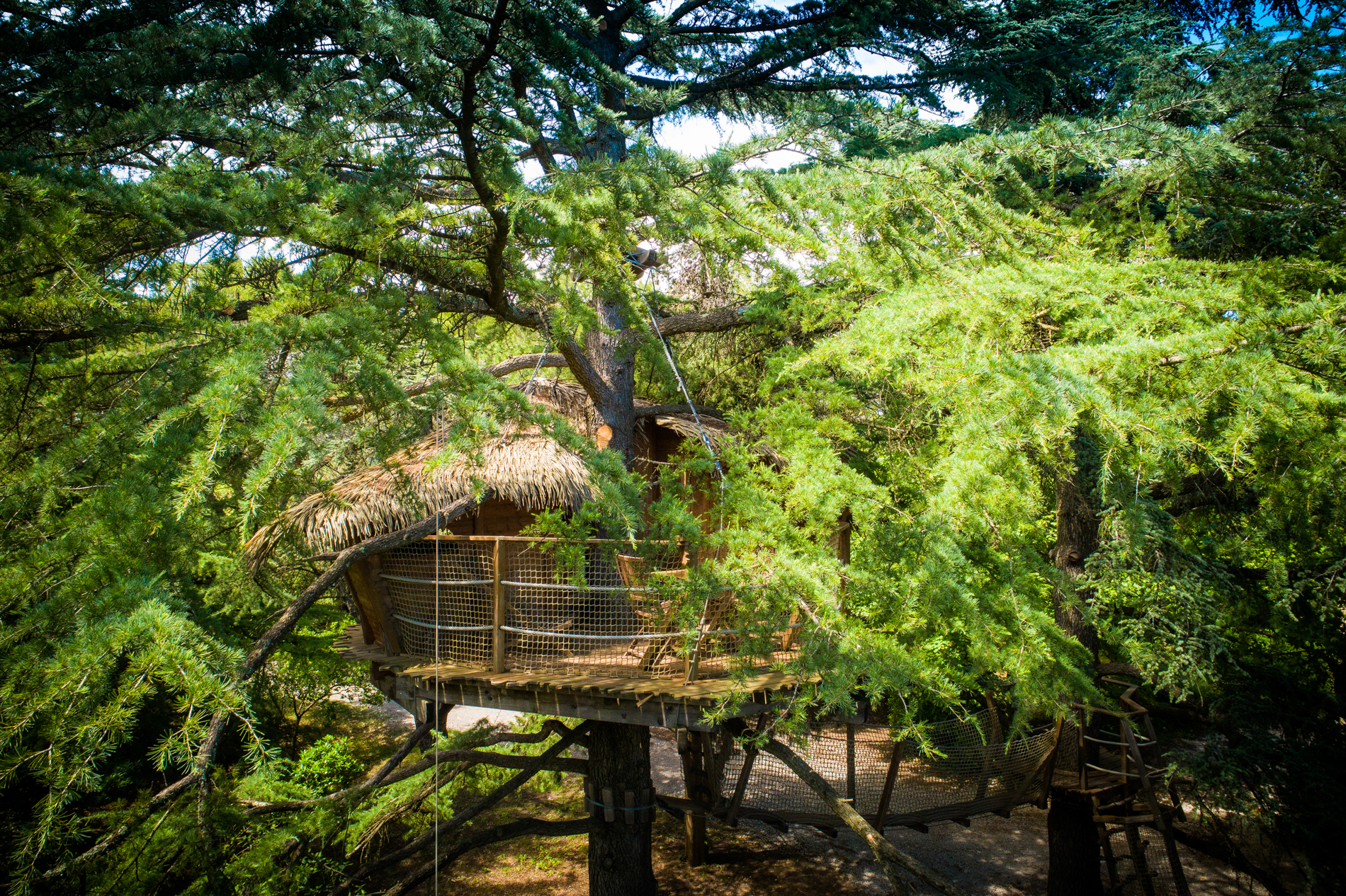 Évasion dans les arbres : la cabane Grand Duc en Languedoc-Roussillon