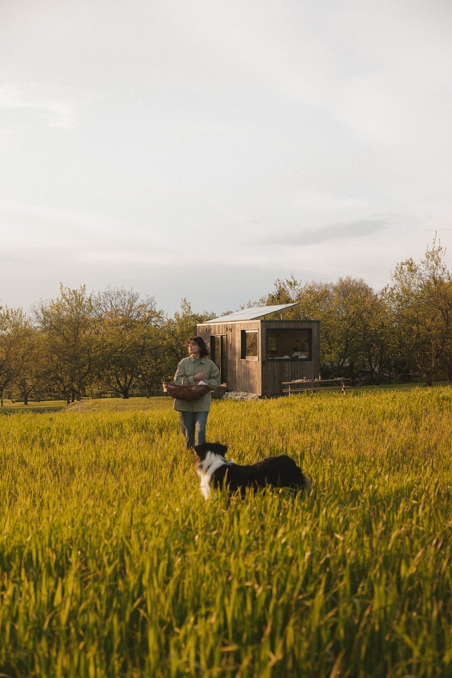 Tiny house moderne au cœur d'un verger en Lorraine — Tiny House à Rarécourt