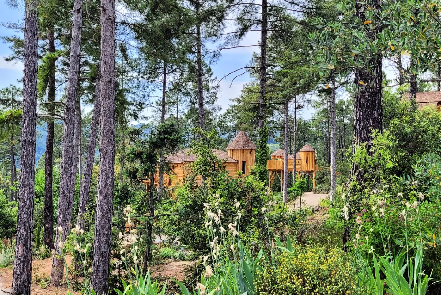 La cabane & spa Cupidon — Cabane dans les arbres avec spa à 6m en Ardèche à Le Teil — chambre