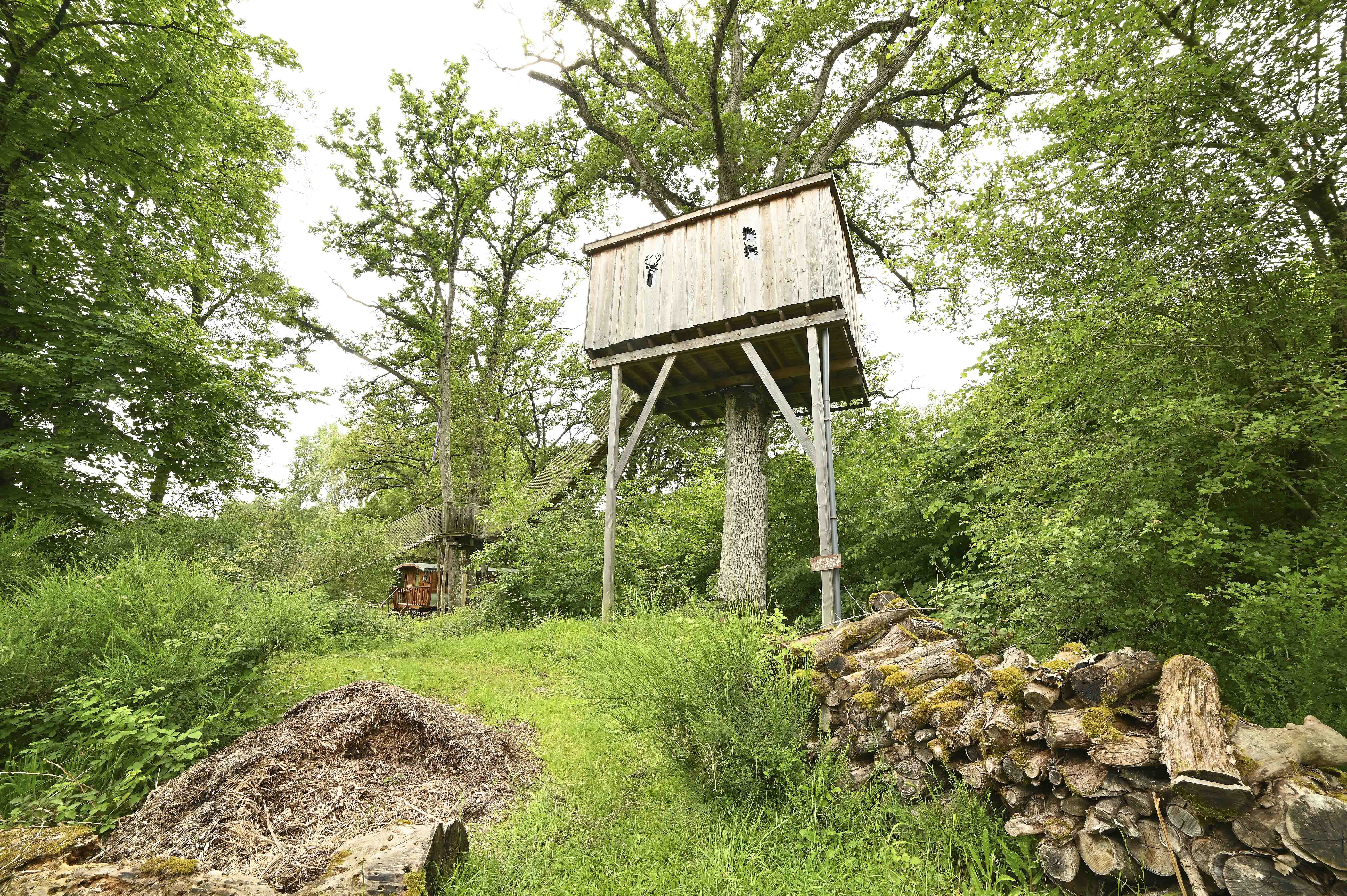 Cabane du Vieux Chêne : une expérience suspendue dans les arbres à Descartes — chambre