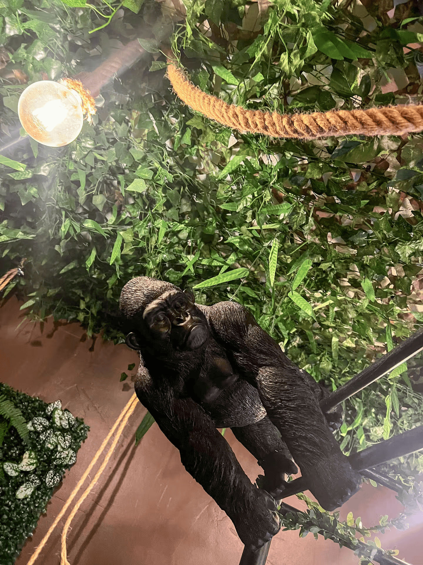 La Tanière de Mowgli — Chambre à thème avec spa à Plage du Môle (Hérault) à Agde — espace de vie