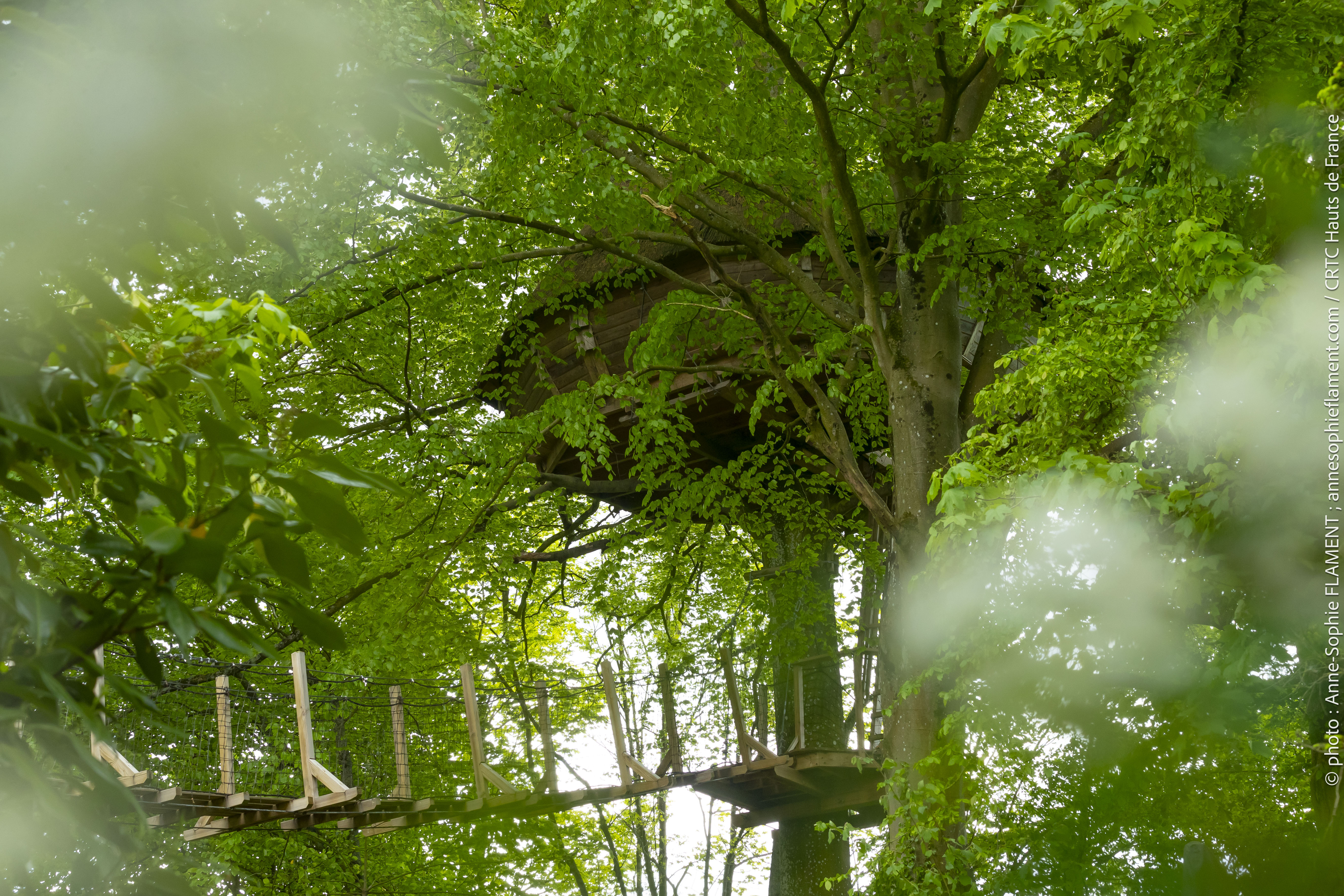 Évasion dans la cabane haut-perchée avec spa et sauna