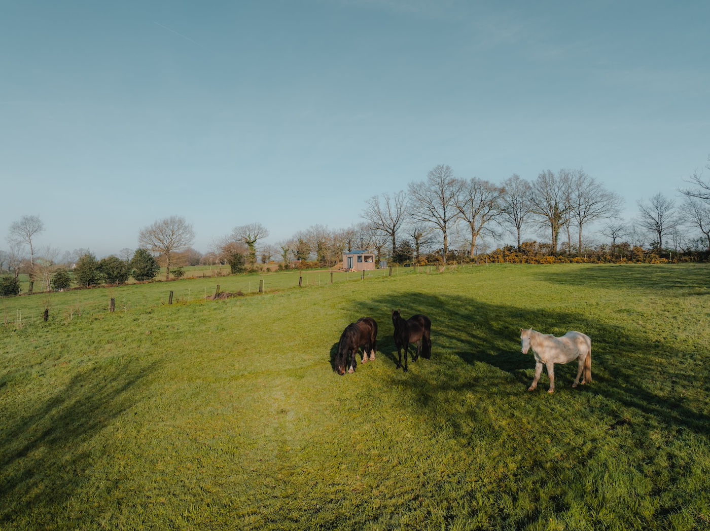Évasion en Tiny House dans la campagne bretonne à Lalleu — espace de vie