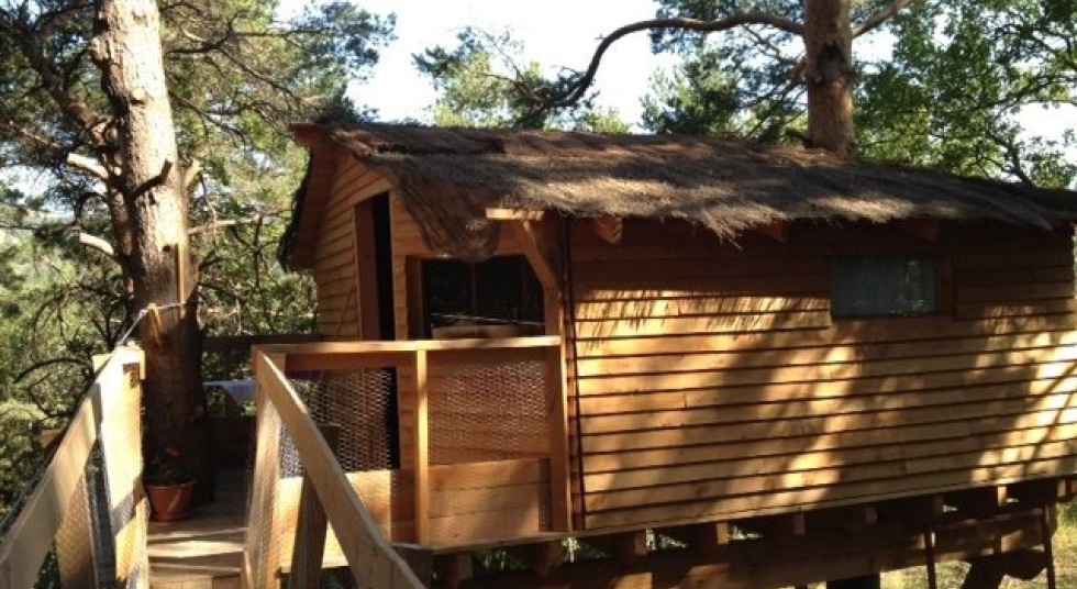 Photo 3/9 — Cabane « La Cabane de Camille : une expérience suspendue dans les arbres » à Beynes Provence-Alpes-Côte d'Azur