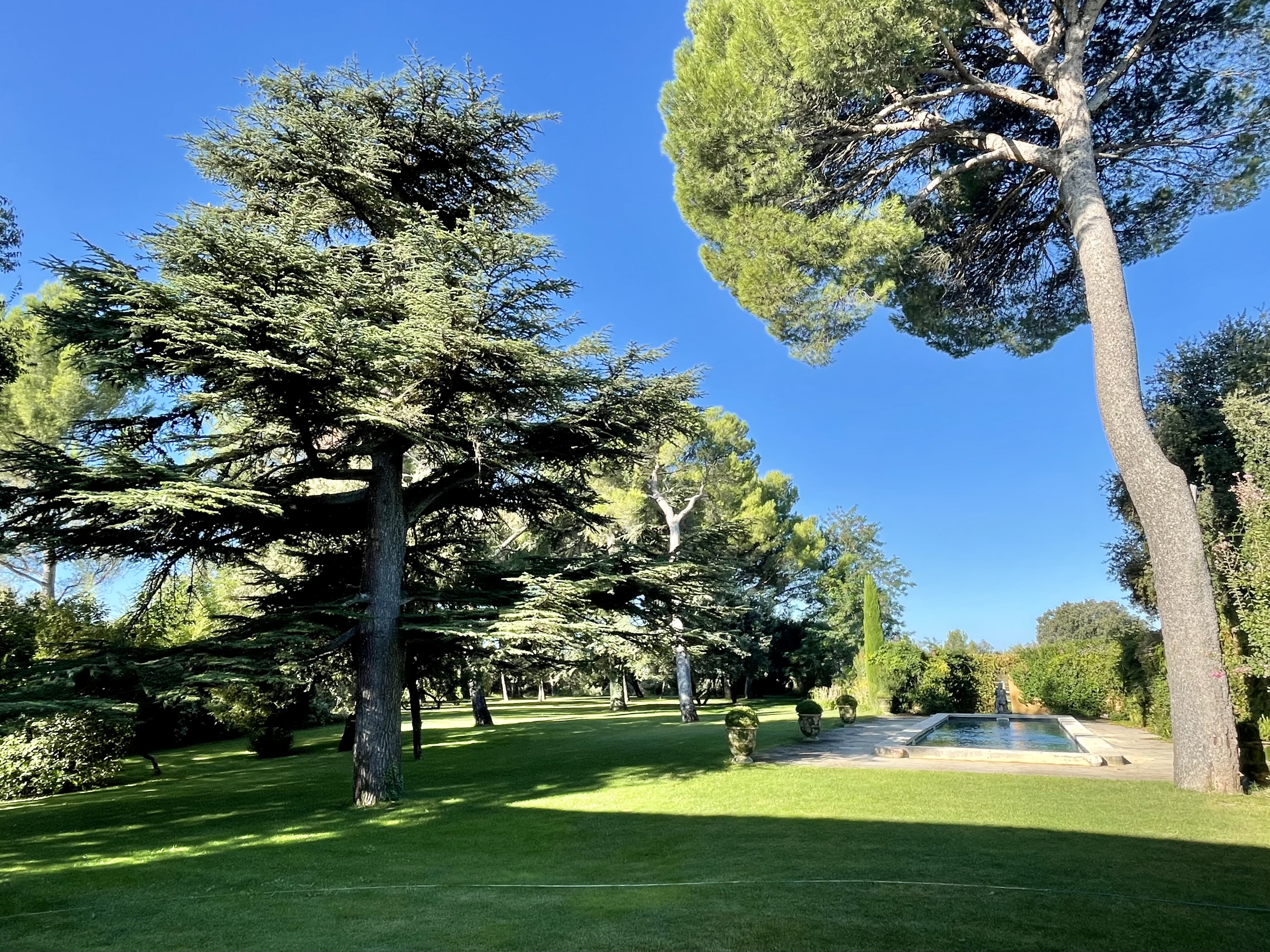 Lumi-pod du Haras de Castellane — Cabane design avec vue panoramique à Vaucluse à Fontaine-de-Vaucluse — détail architectural