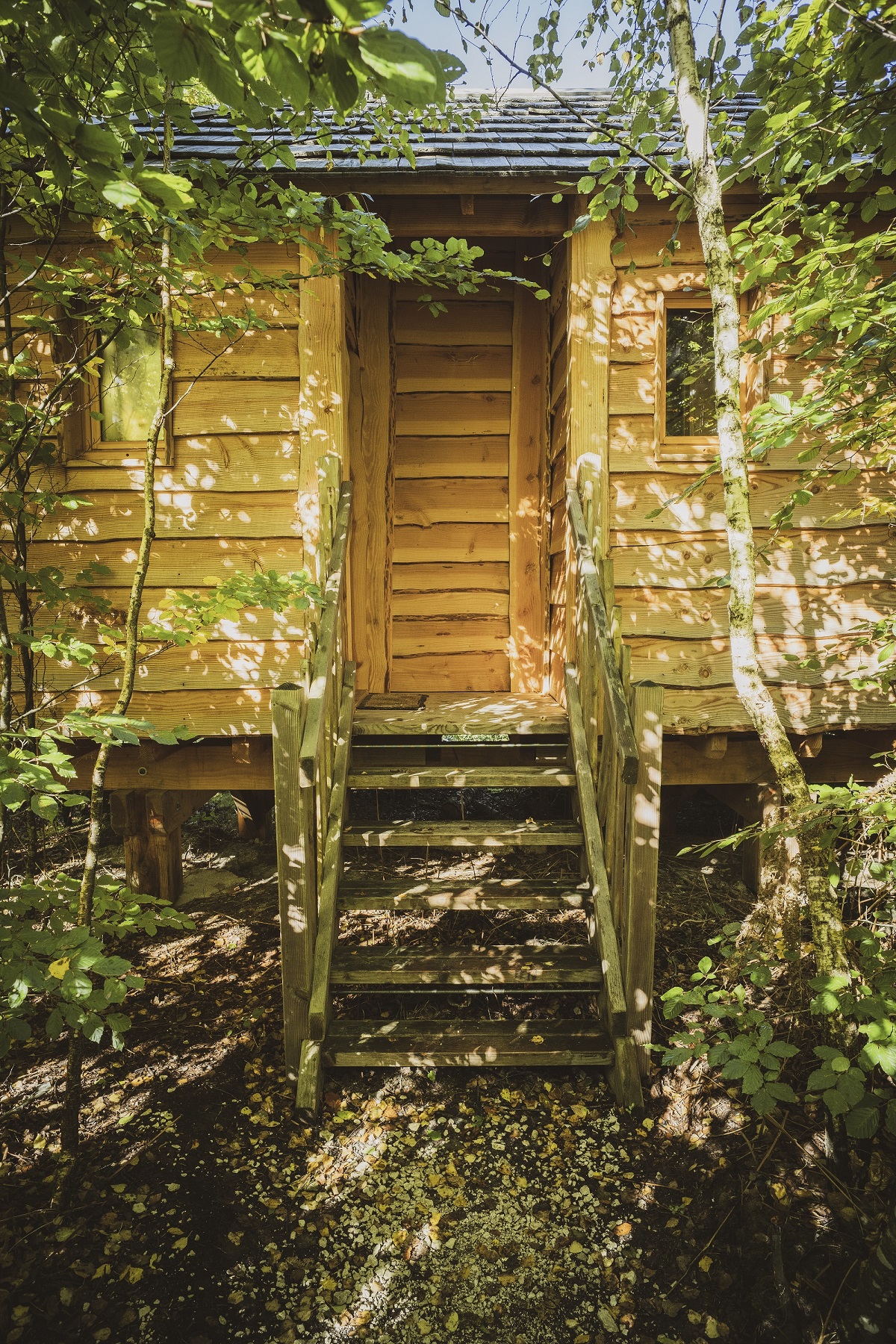 Cabane Eldorado : une immersion en hauteur en Franche-Comté à Joncherey — vue intérieure