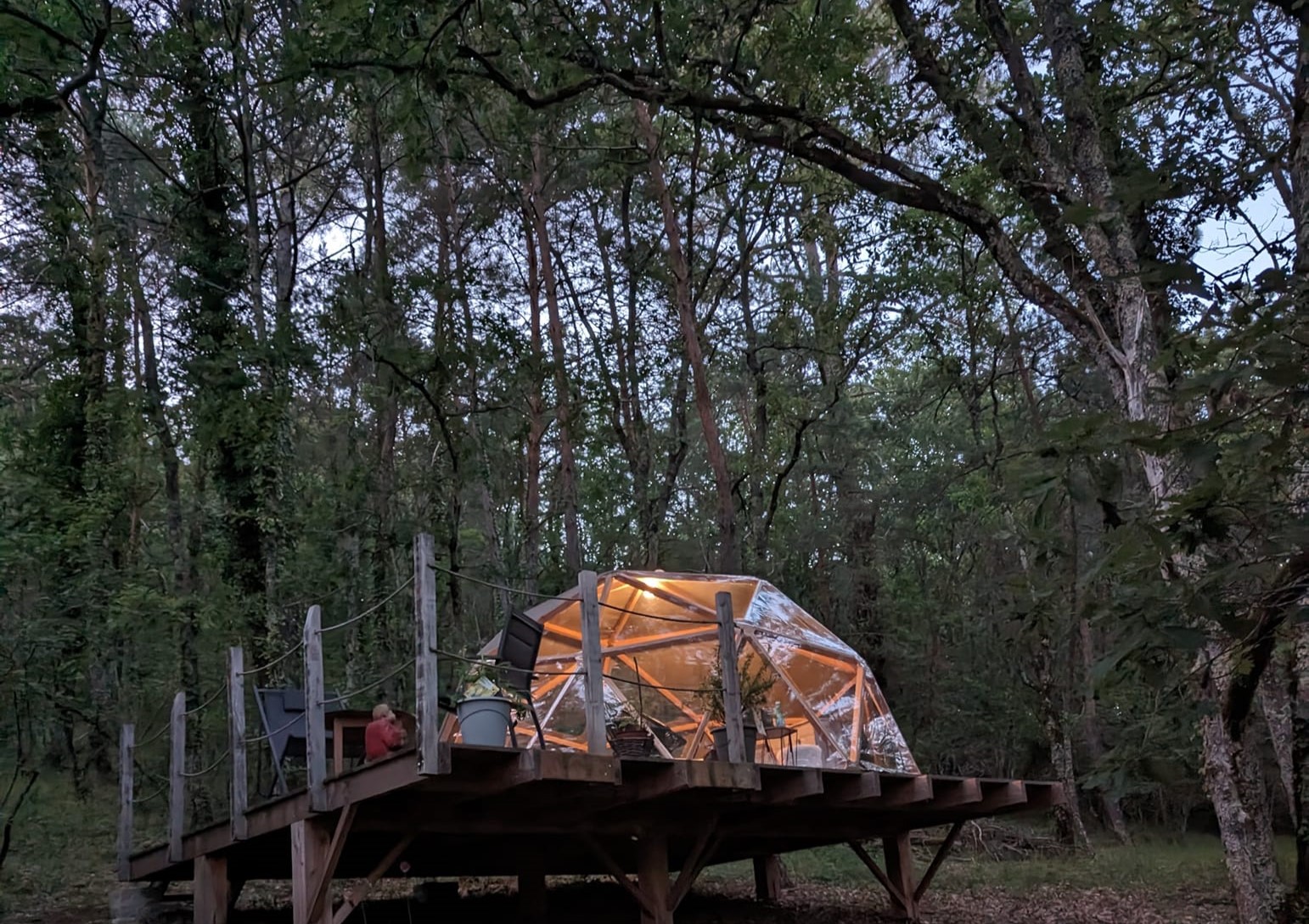 Le Do' dôme : une expérience immersive en pleine nature à Montignac-Lascaux — détail architectural