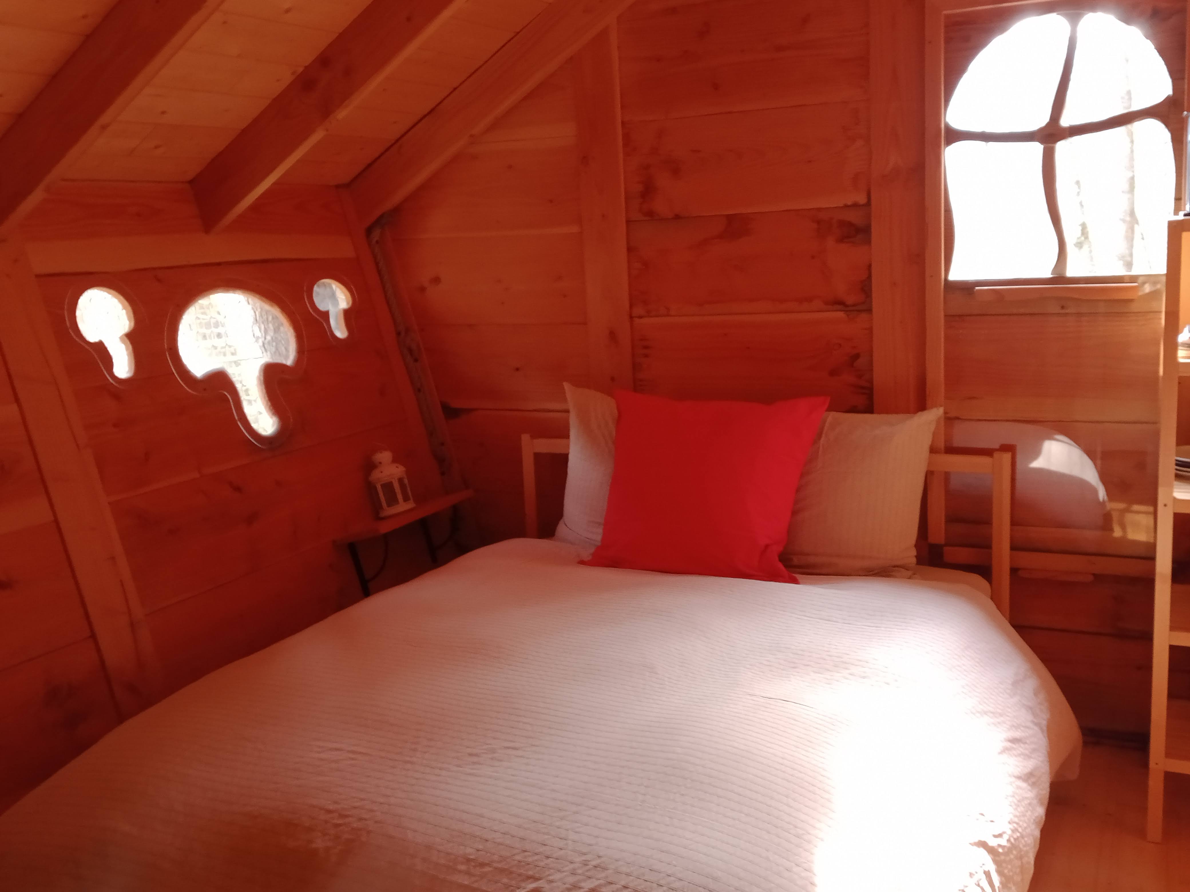 Cabane l'Appel de la Forêt : une expérience unique en Alsace à Grandfontaine — espace de vie