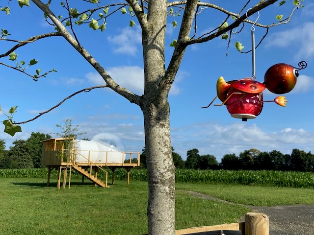 La Bulle de la fée Viviane : une expérience insolite en Bretagne à Boisgervilly — espace de vie
