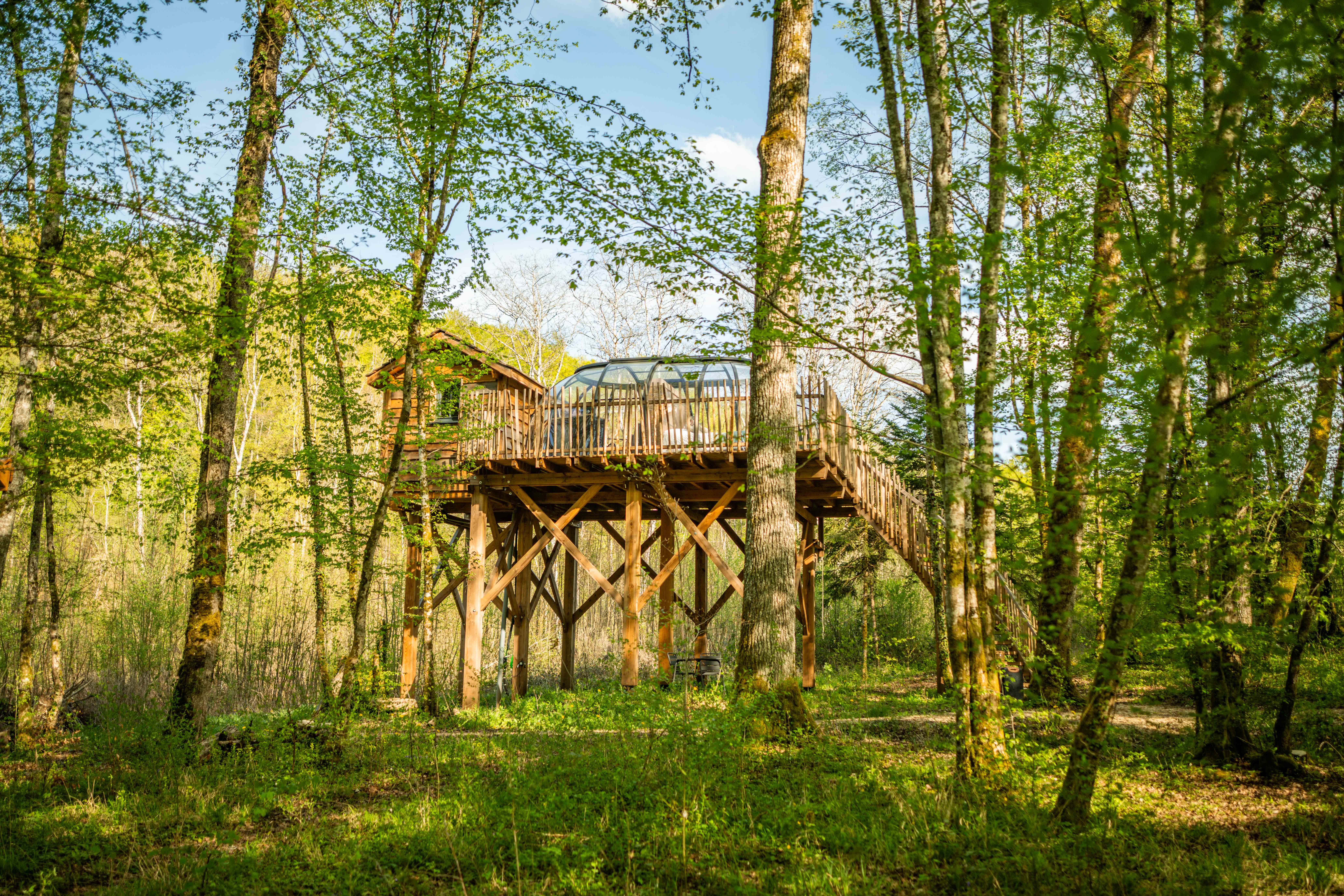 Grand dôme perché Spa - Geai des chênes — Dôme avec spa à Côte-d'Or à La Combe Rossignol — vue intérieure