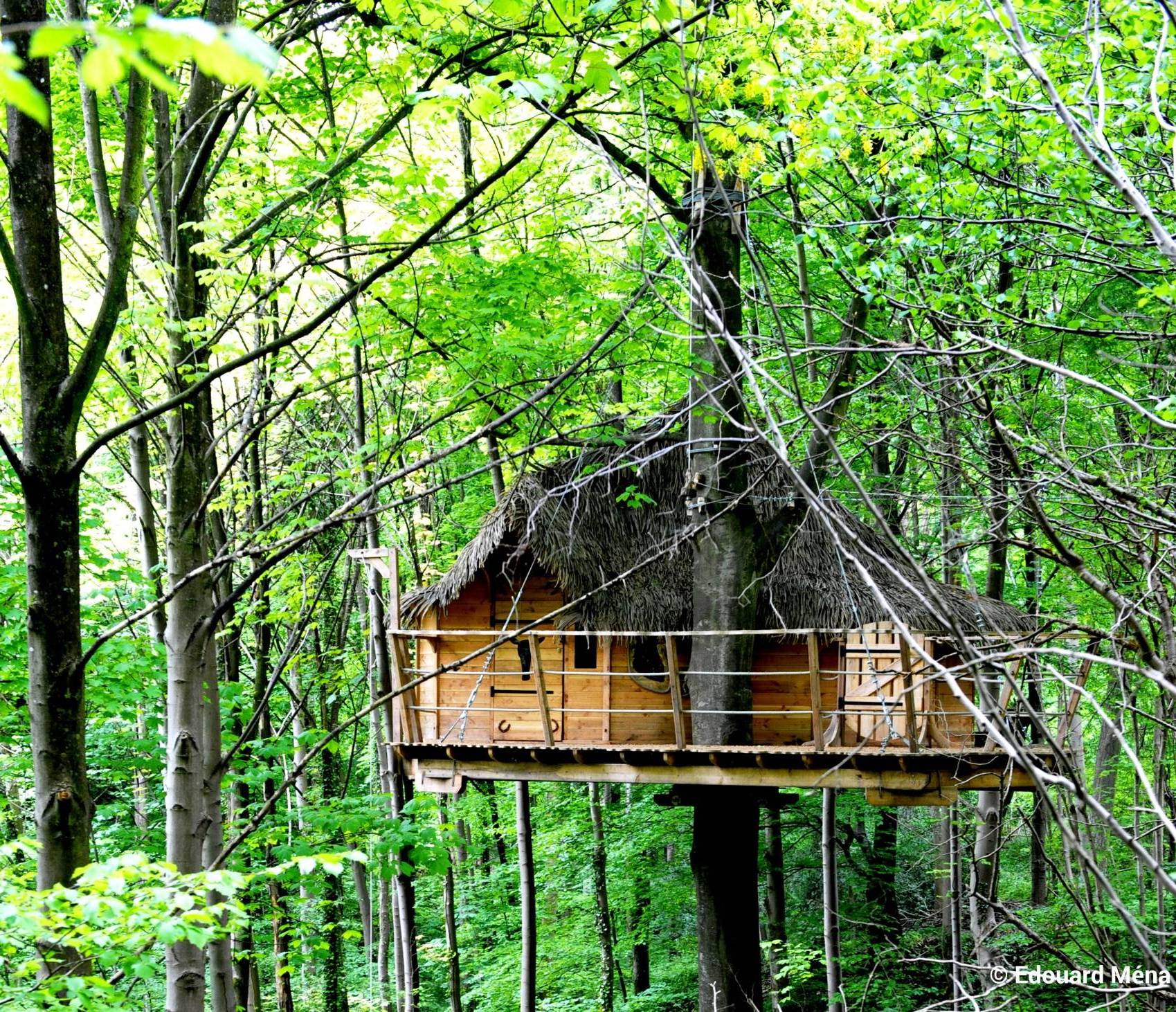 Évasion en cabane : un refuge dans les arbres en Haute-Normandie
