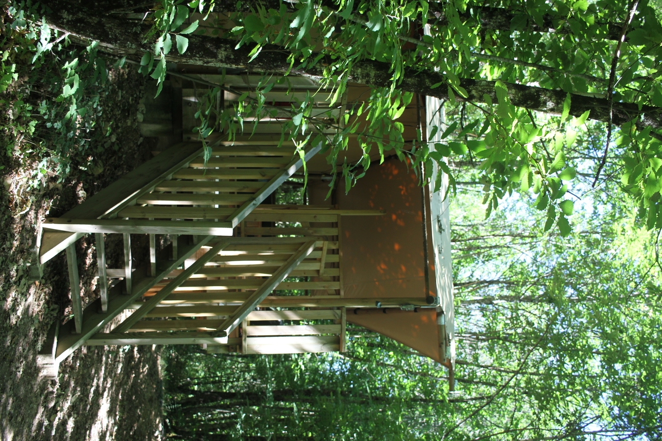 Tente Lodge Forestière — Séjour glamping à 8m en Dordogne à Alles-sur-Dordogne — cuisine