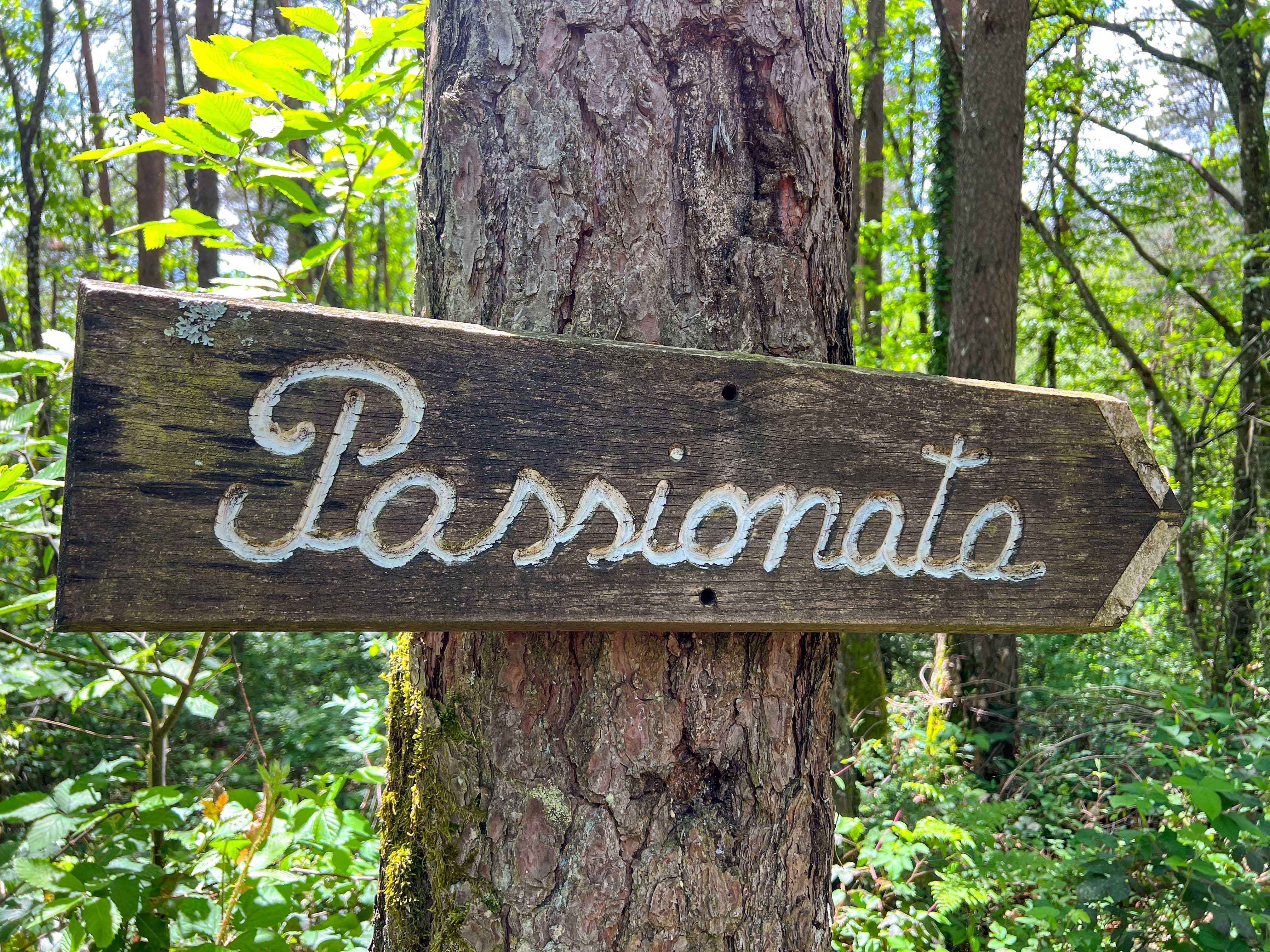 La Yourte Passionata : une immersion au cœur de l'Auvergne à Vitrac — chambre