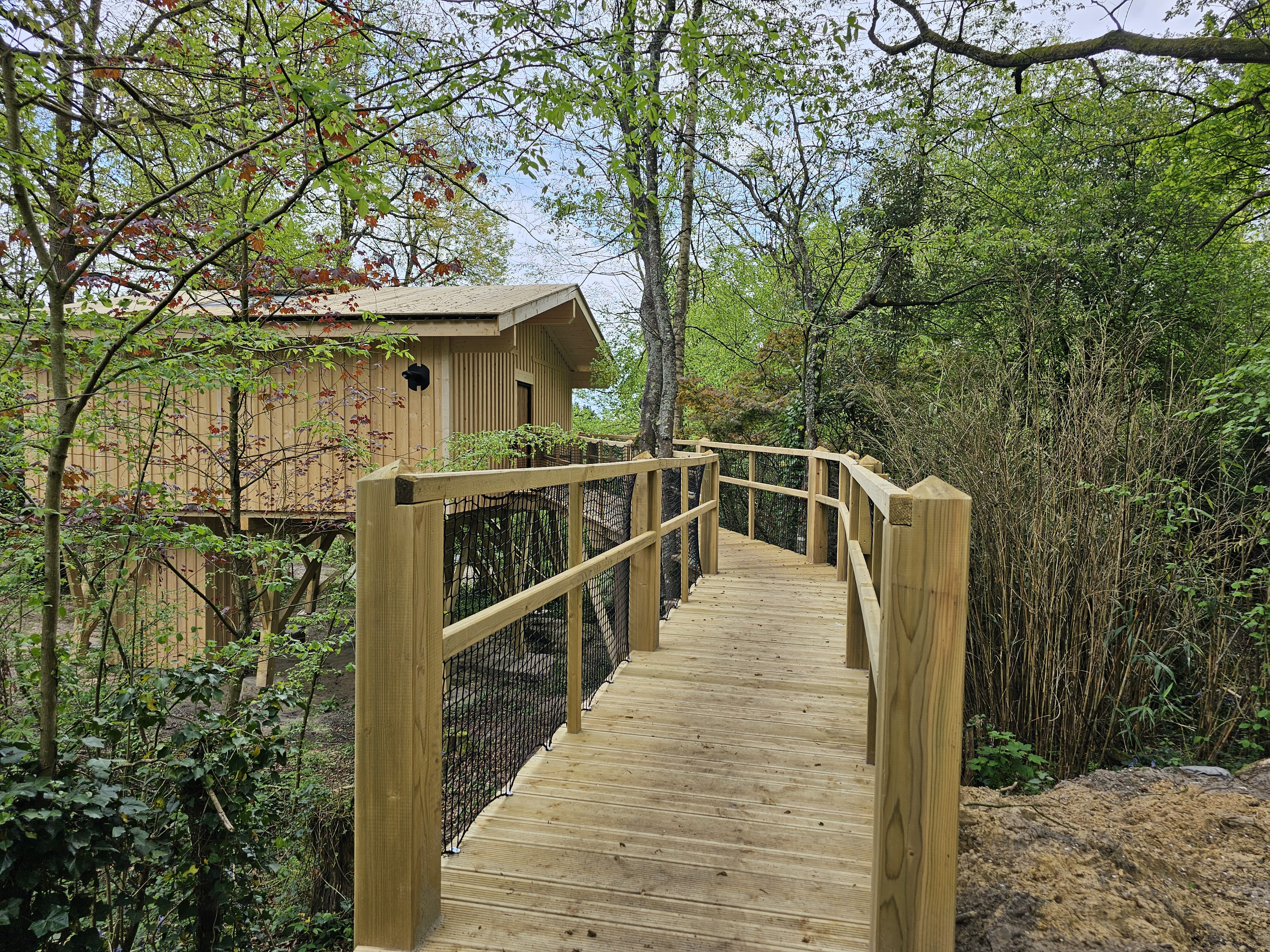 Cabane Spa Harmonie : une immersion dans les arbres en Picardie à Rosoy-En-Multien — environnement naturel