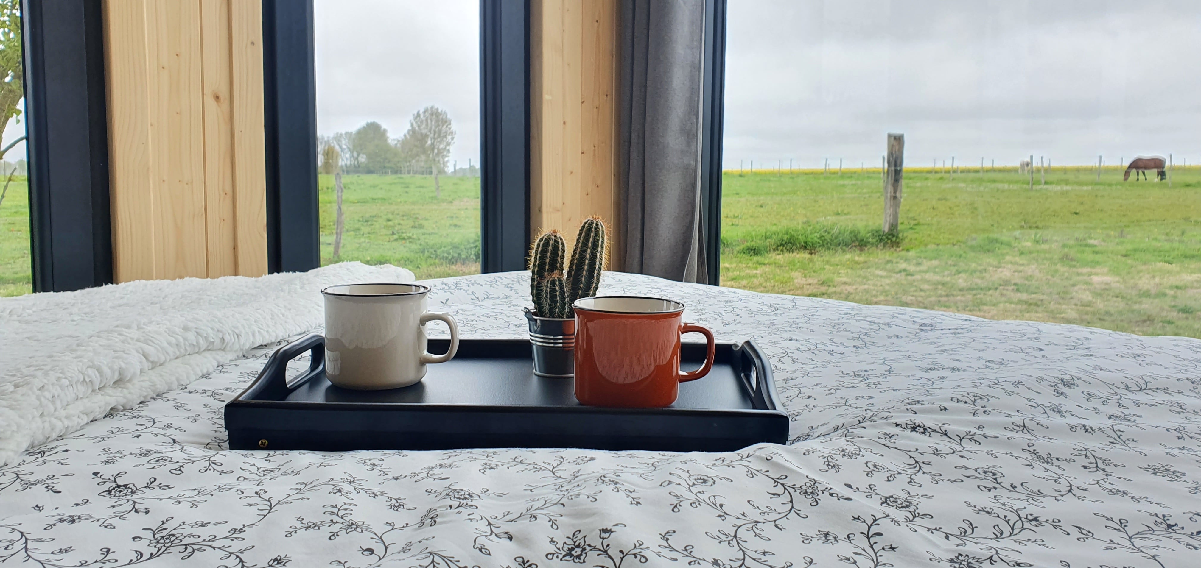 Tiny House L'Écurie : une escapade insolite en Haute-Normandie à Etretat — vue depuis la terrasse