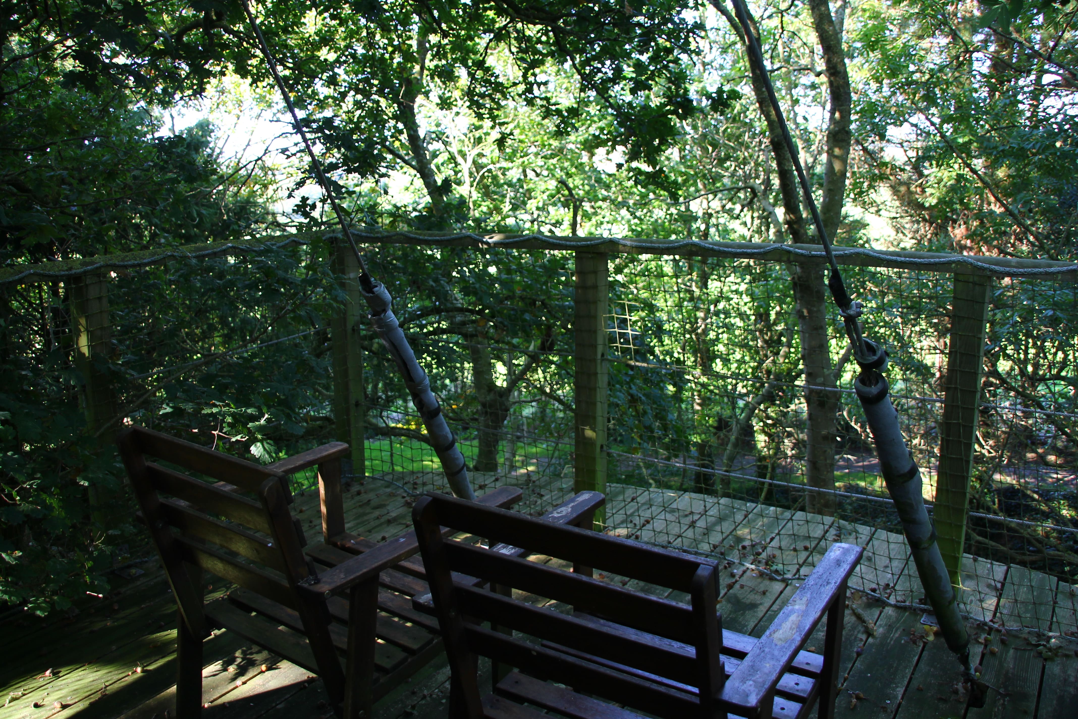 Cabane Tour : une expérience suspendue dans les arbres à Hénanbihen — espace de vie