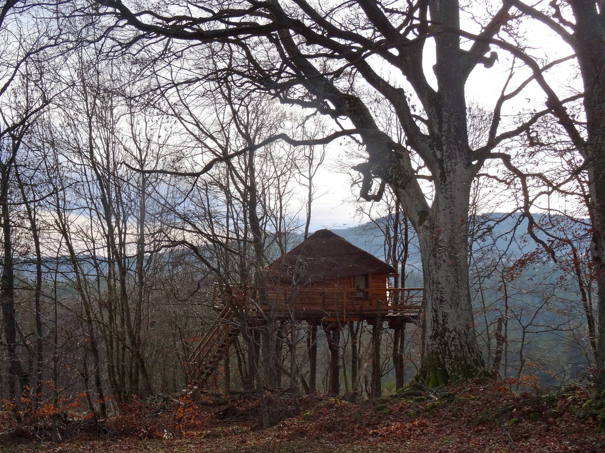 La Cabane des Fayards : une expérience suspendue dans les arbres à Saint Agrève — espace de vie