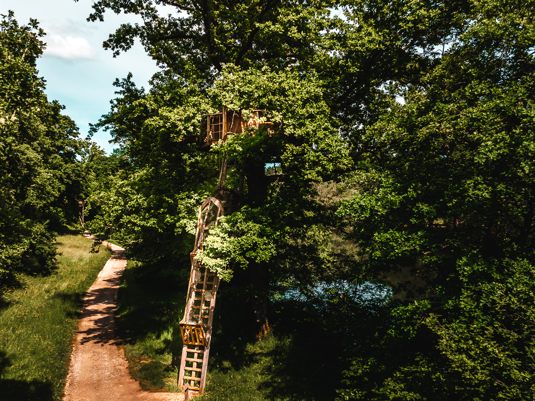 Cabane Évasion : une immersion dans les arbres en Franche-Comté