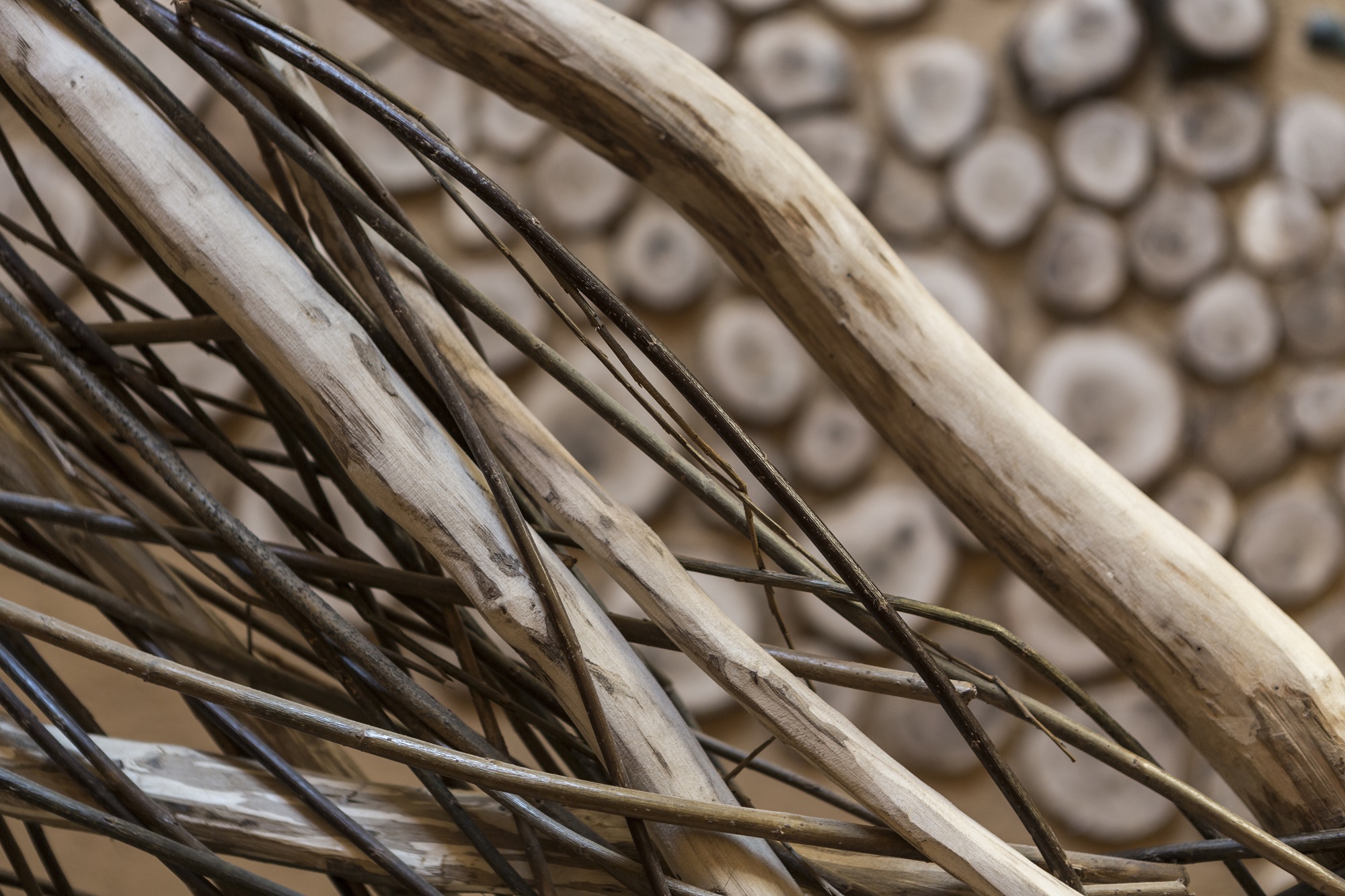 Gaia : une cabane végétalisée au cœur de la Lorraine à Vittel — détail architectural