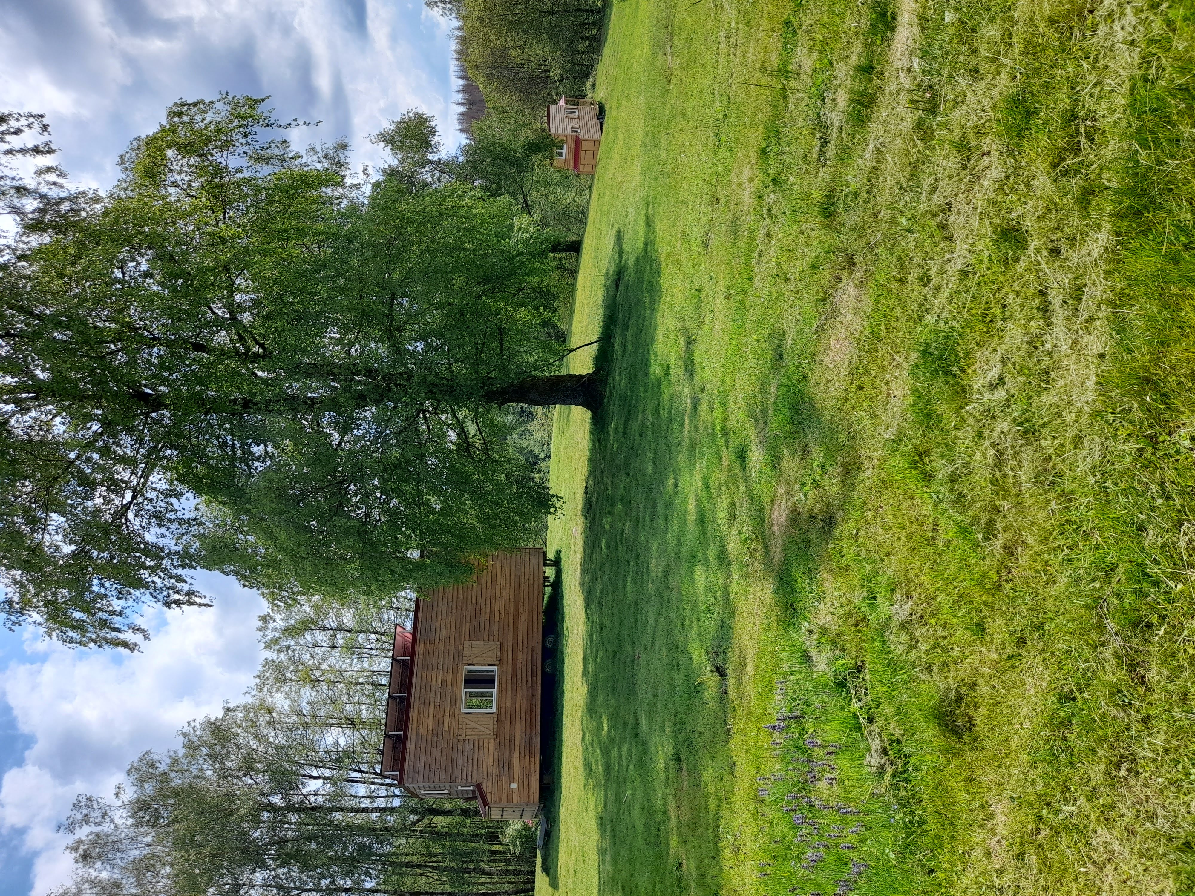 Tiny House Joy — Séjour confortable avec spa en Haute-Saône