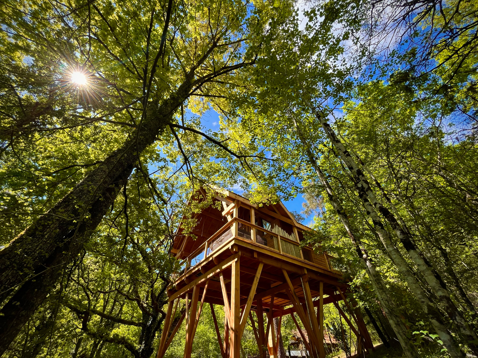 Cabane perchée avec spa et sauna en pleine nature