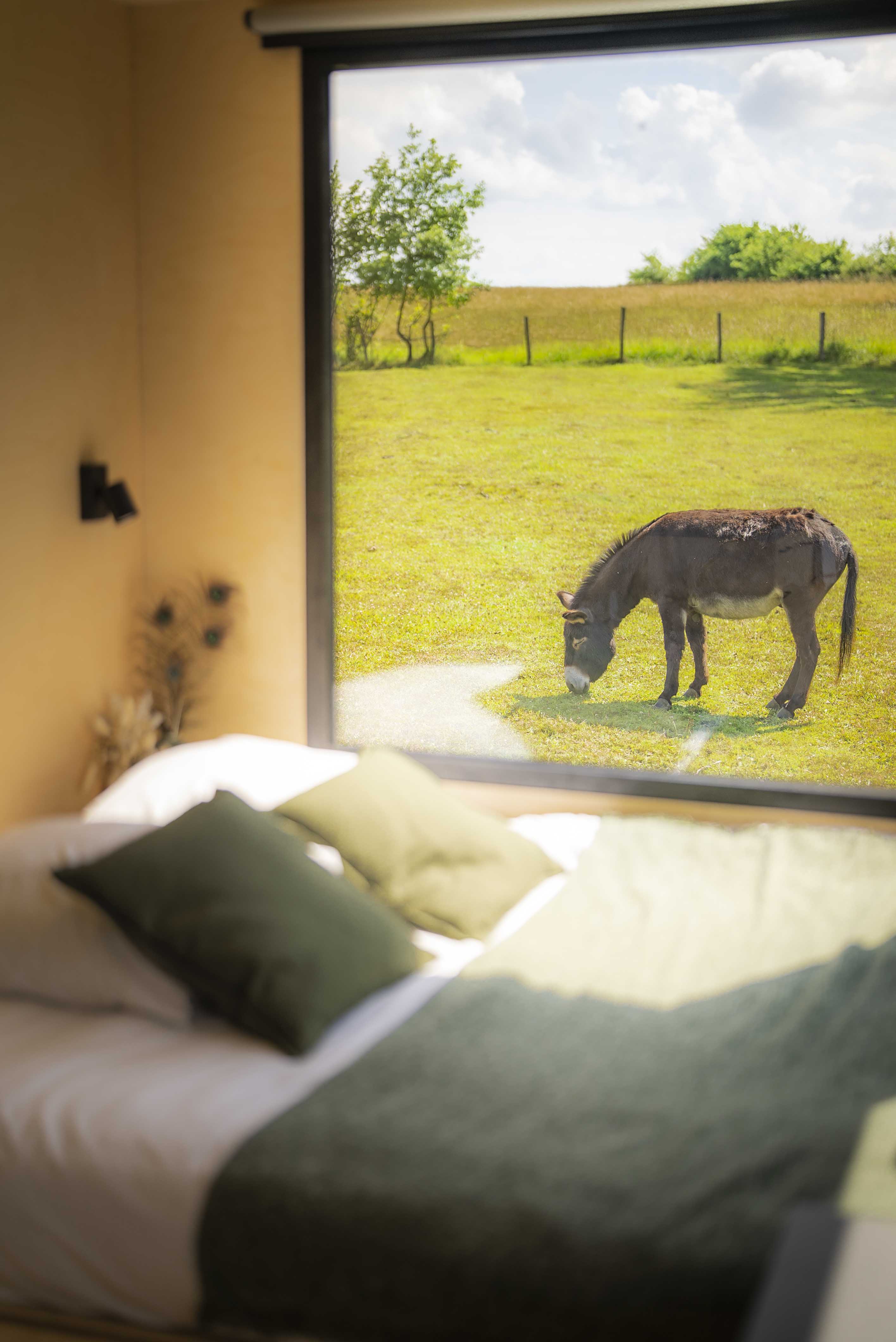 Tiny house au cœur du Jura : une expérience immersive près des animaux à Les Hays — espace de vie