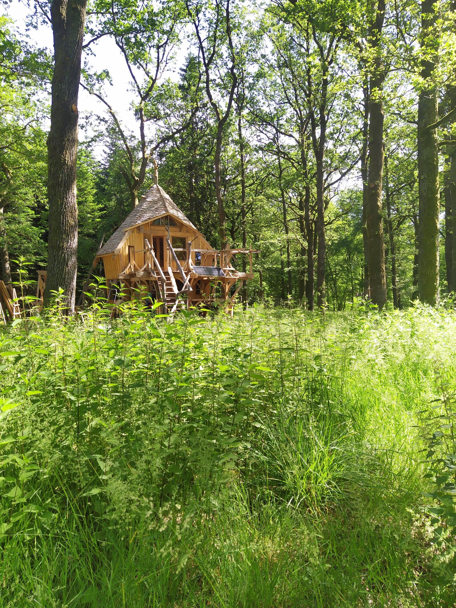 Cinderella : une cabane enchantée en Lorraine
