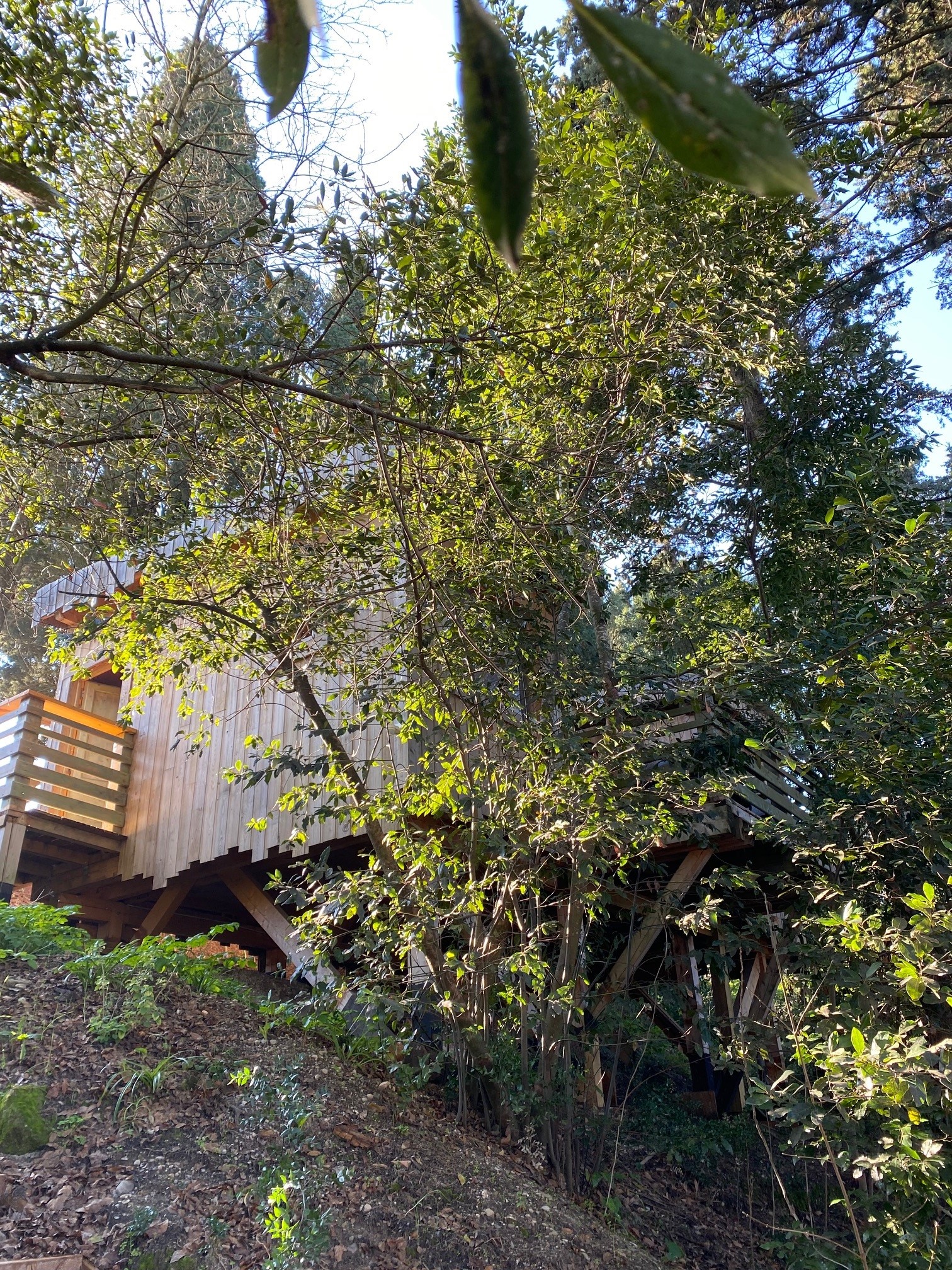 Cabane Fresnes : une expérience suspendue dans les arbres à Villalier — salle de bain