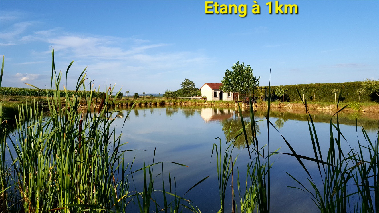 Chambre 4 — Séjour avec vue panoramique à Équi-lodges Vosges à Épinal — cuisine