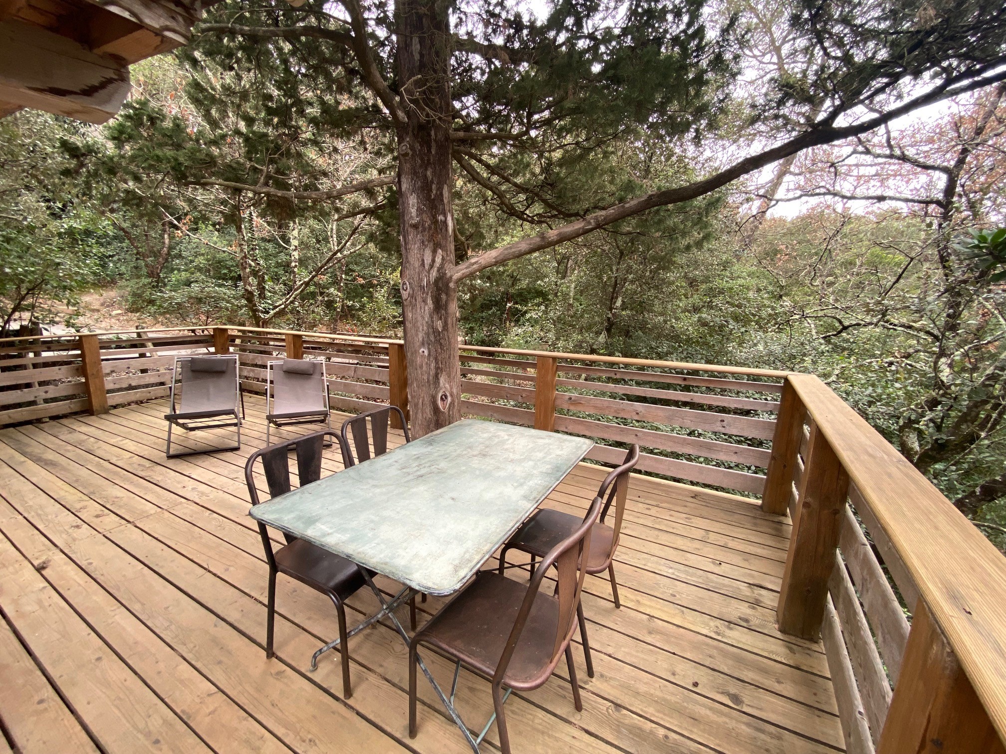 Cabane Fuste : une expérience suspendue en Languedoc-Roussillon à Villalier — chambre