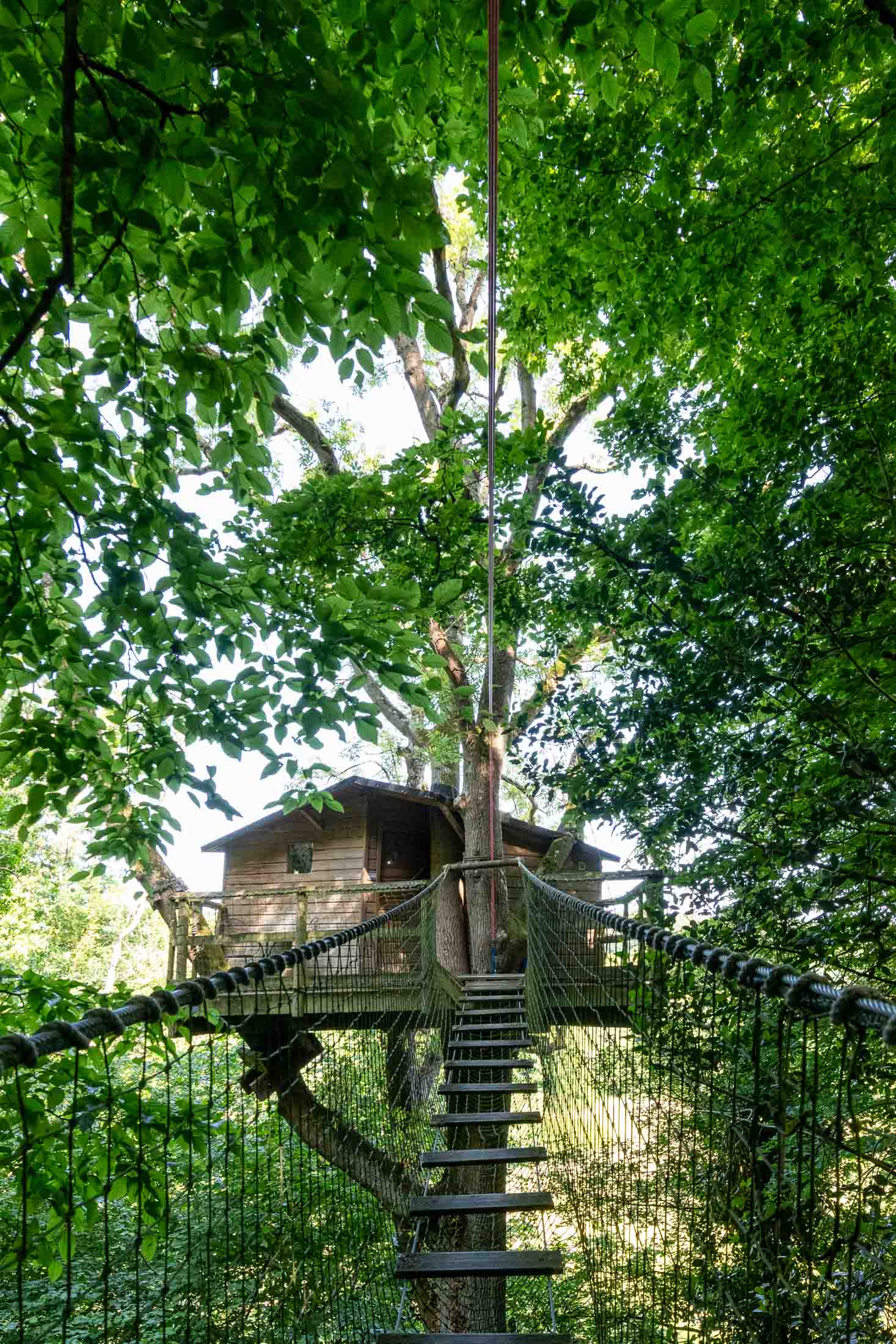Cabane Rossignol — Nuit perchée à 10m dans les arbres en Calvados à Caen — vue intérieure