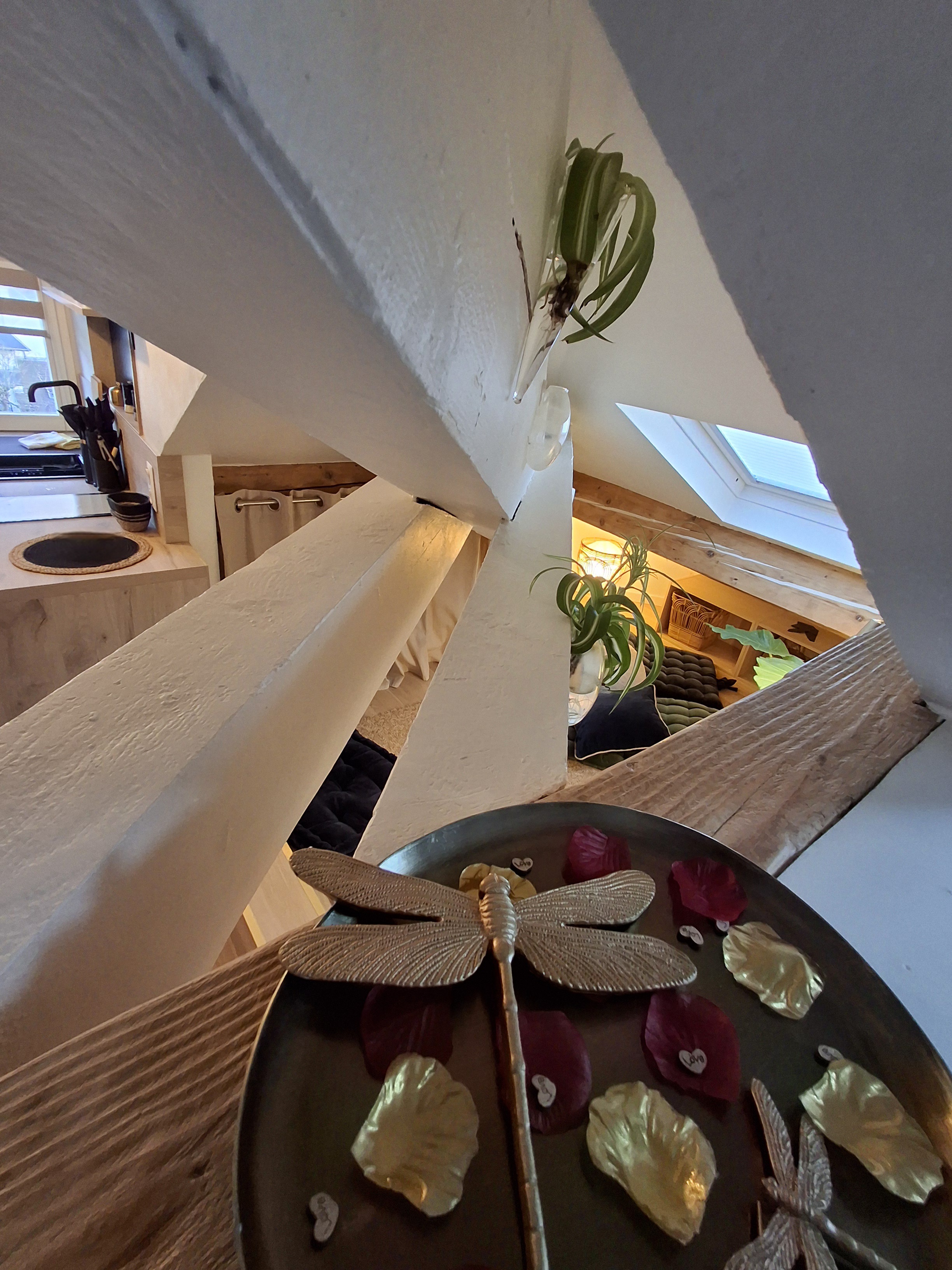 Le 182 - Splendide Hotel — Studio avec spa à Savoie à Chambéry — environnement naturel
