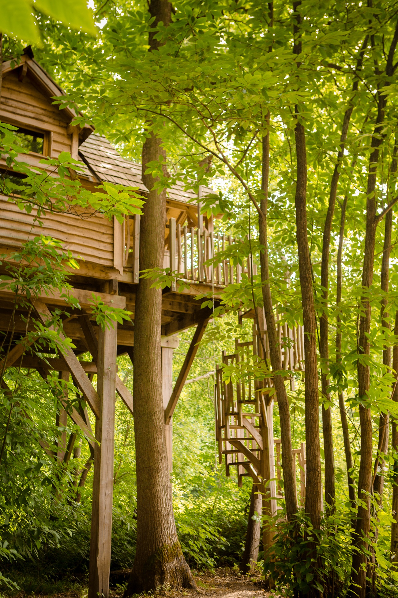 Cabane Spa Étoilée : une expérience unique dans les arbres