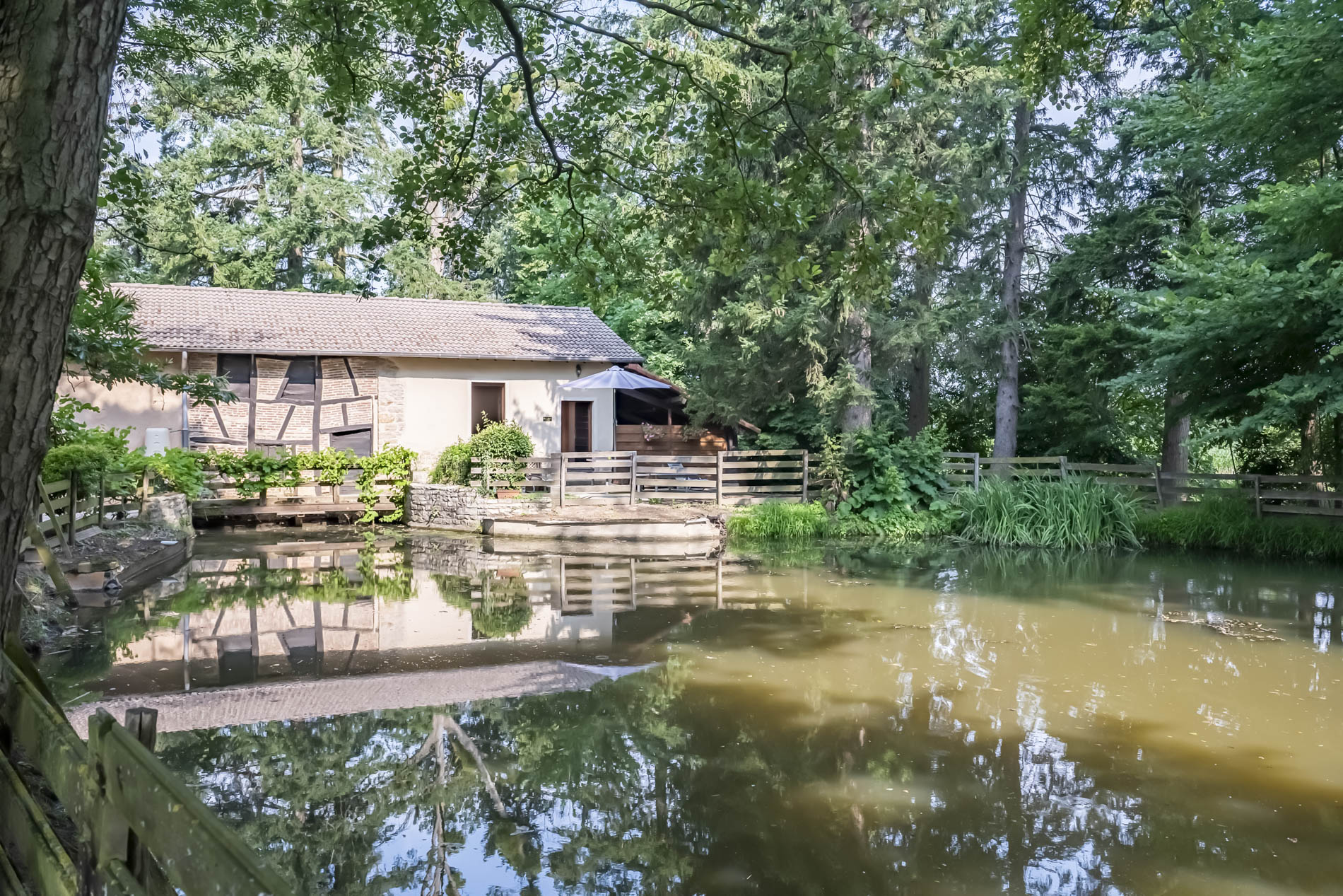 Suite Dino — Hébergement familial avec spa à Ain à Meillonnas — espace de vie