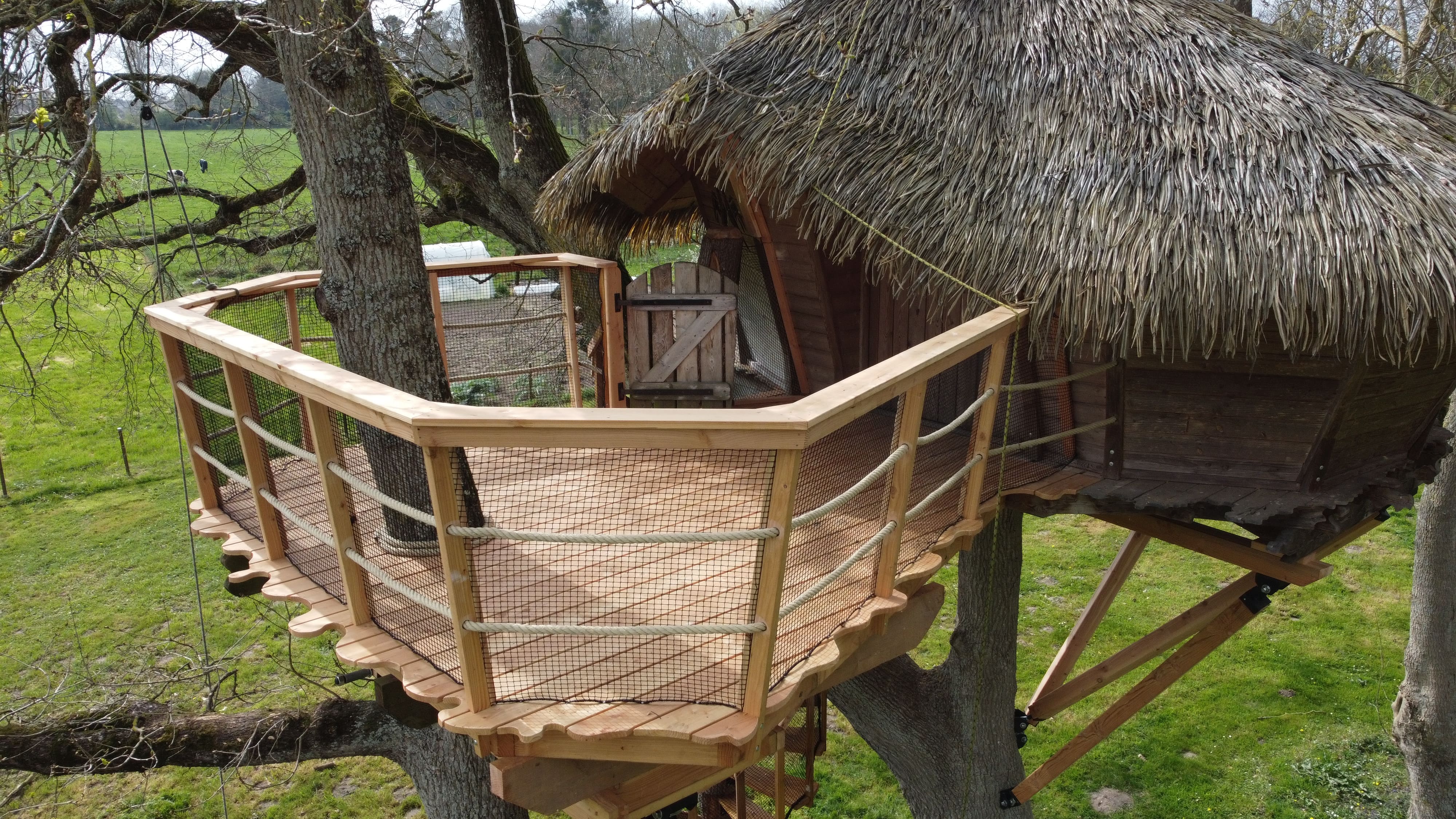 Une échappée belle dans les arbres : la cabane Dam'oiseaux