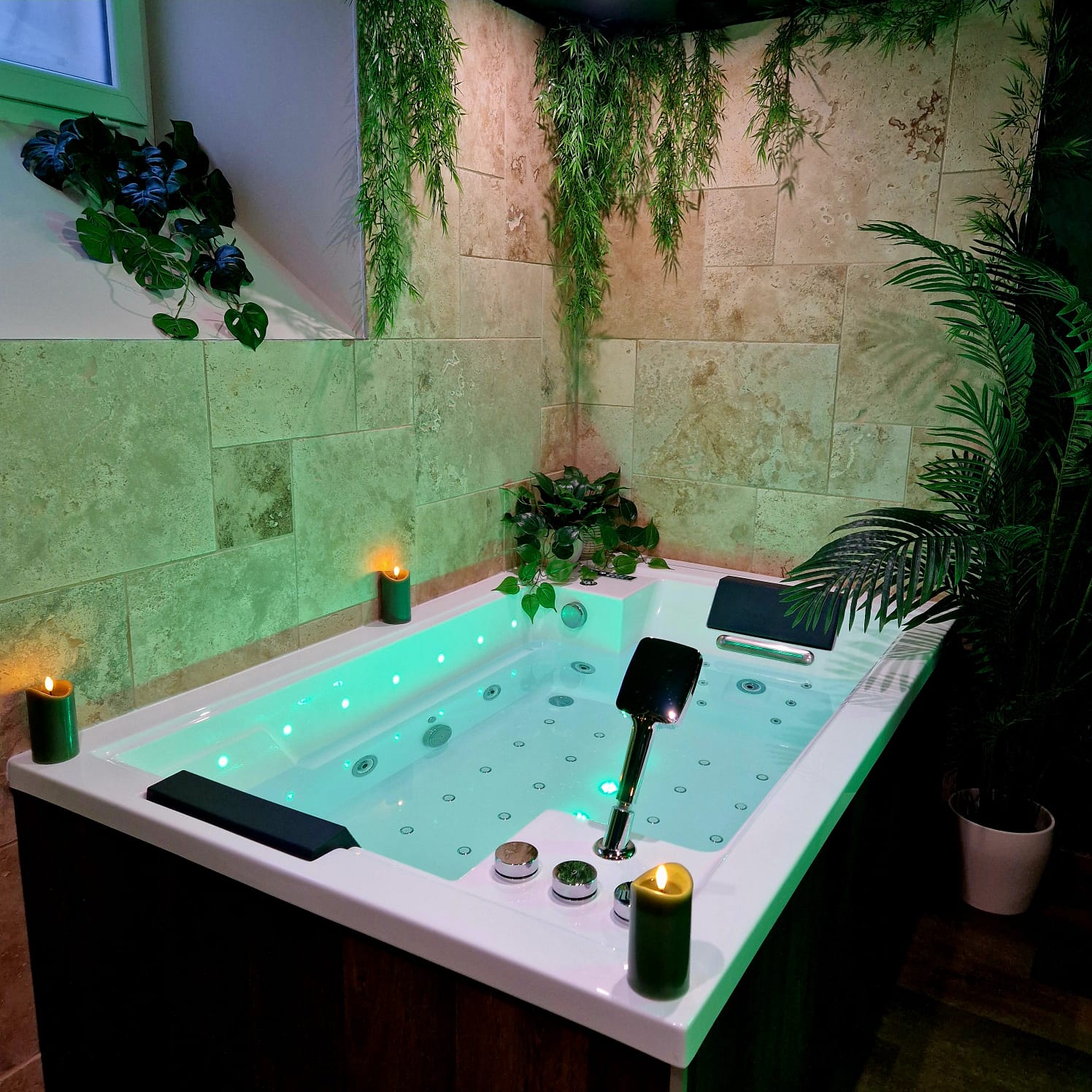 Jungle Room & Spa — Hébergement insolite avec balnéothérapie à Puy-de-Dôme à Orcines — vue depuis la terrasse
