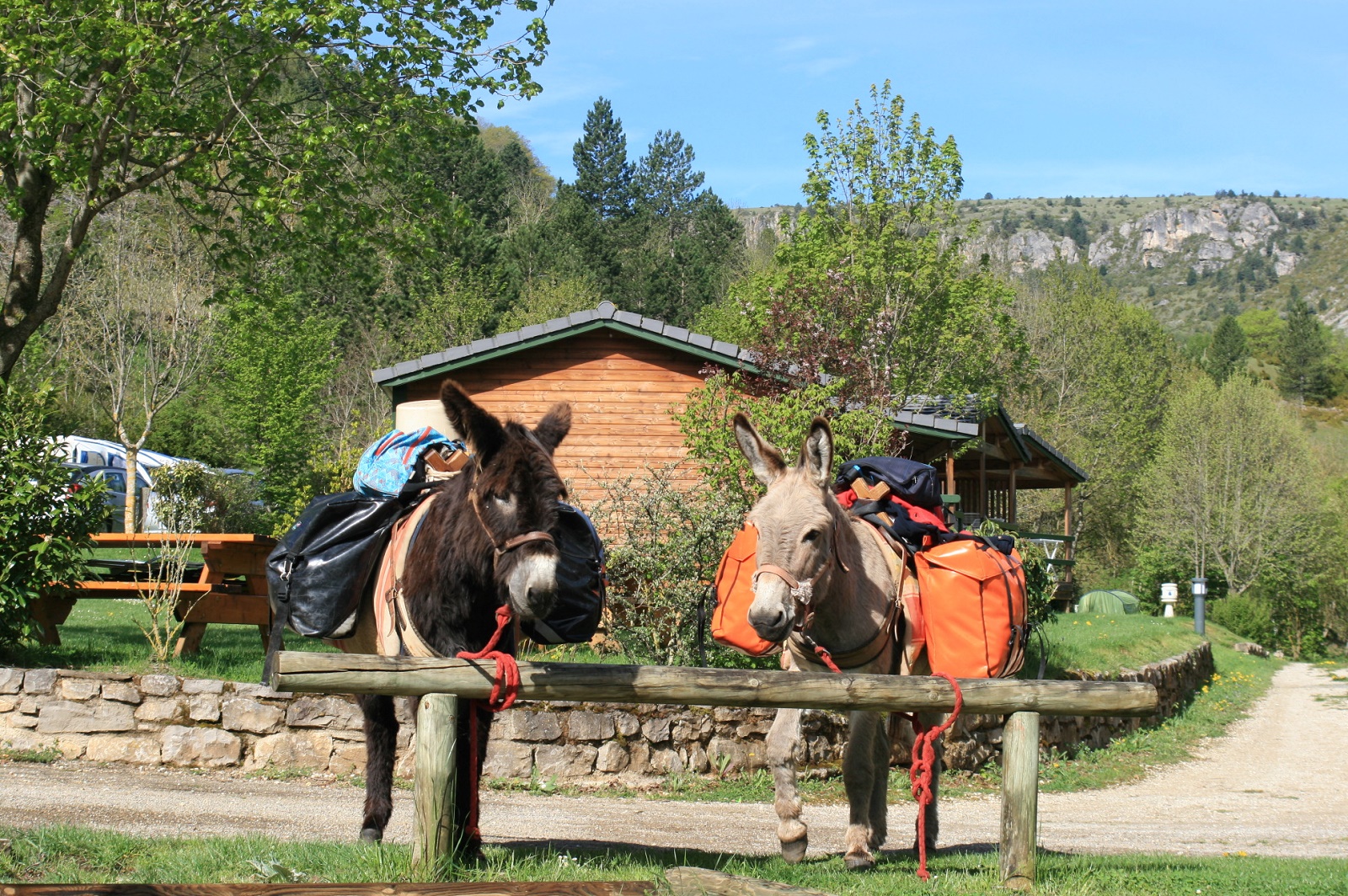 Hurle Vent — Cabane dans les arbres avec spa à Lozère à Mende — environnement naturel