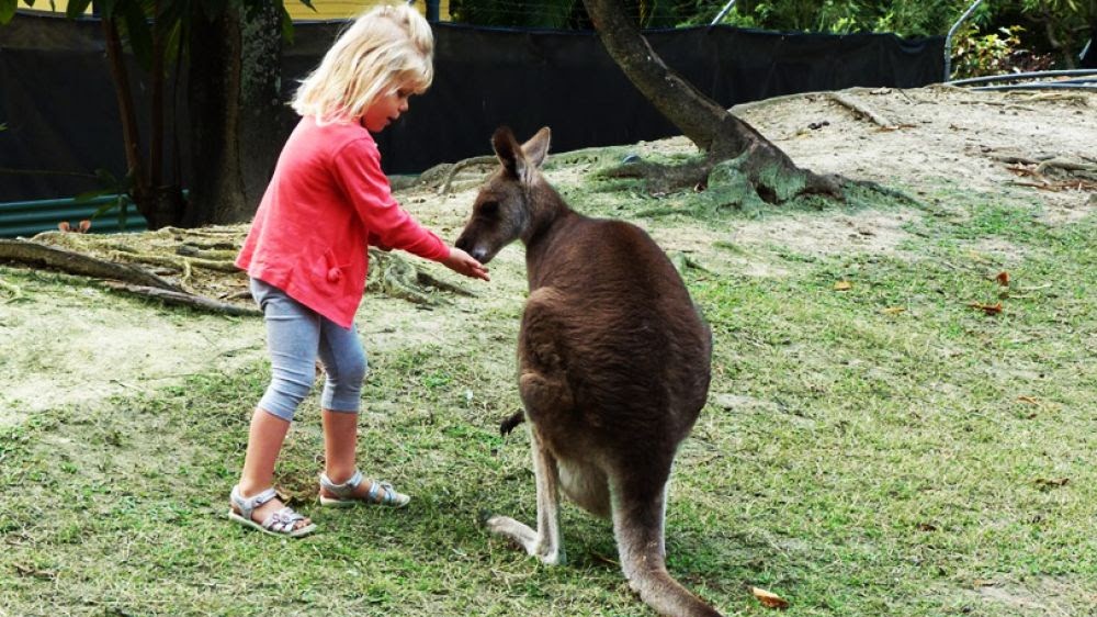 Dormir avec des kangourous — Expérience insolite à Gers à Dému — environnement naturel