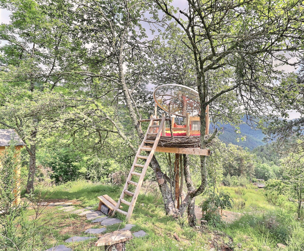 Le Nid : une cabane dans les arbres au cœur de la nature ardéchoise à Rochepaule — cuisine