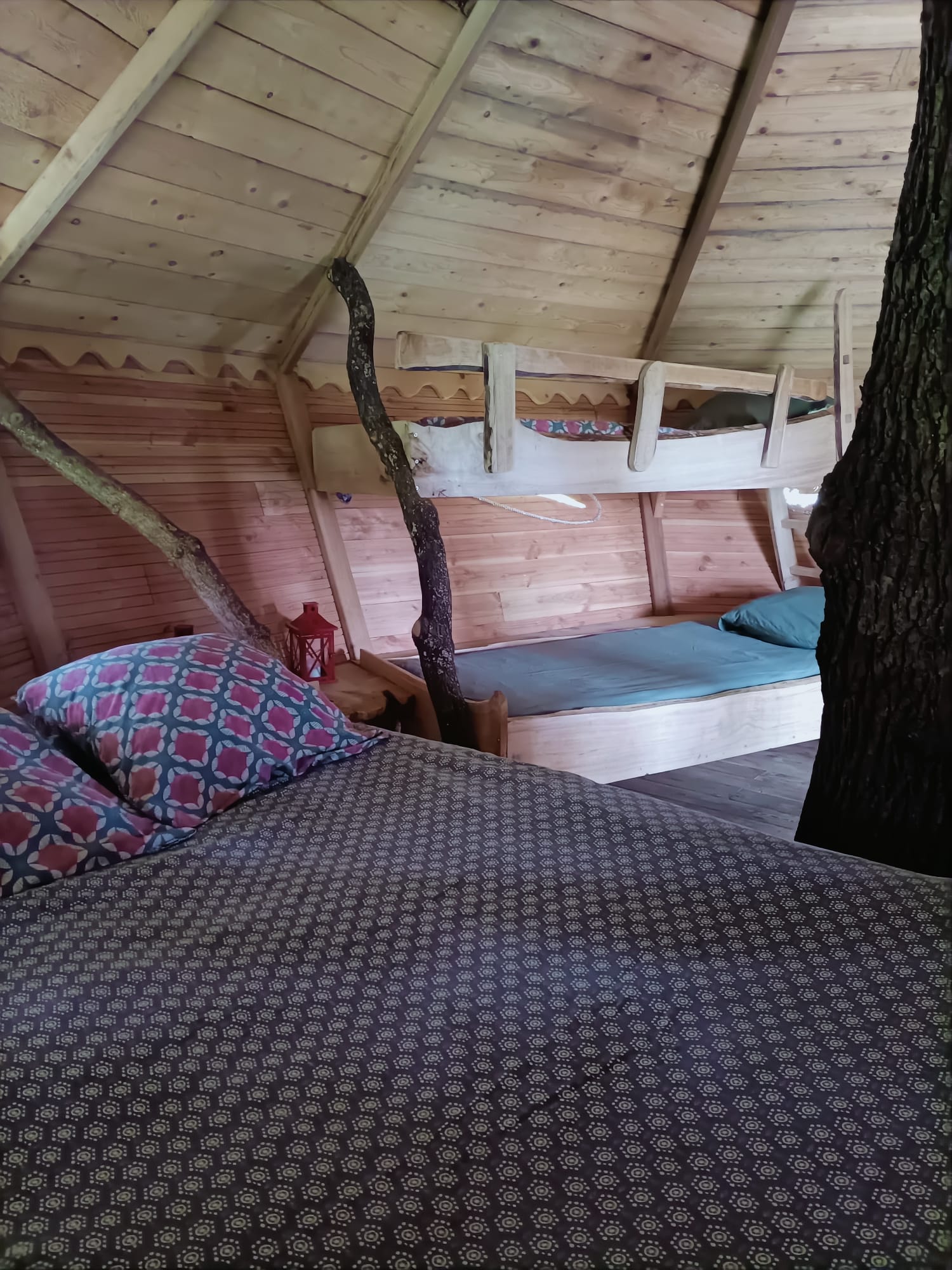 Une échappée belle dans les arbres : la cabane Dam'oiseaux à St Aubin Des Préaux — espace de vie