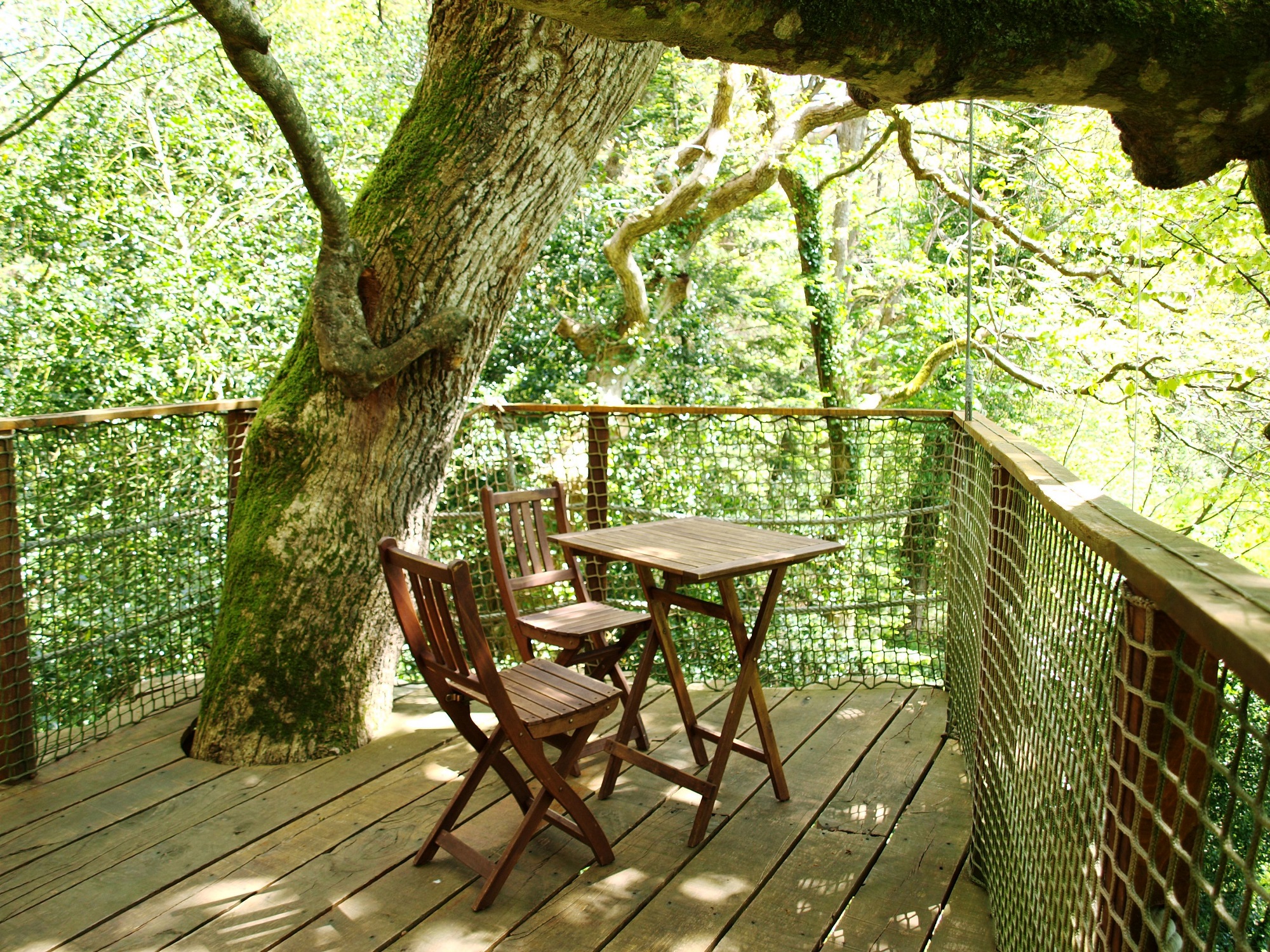 Cabane Jonquille : une évasion perchée en Bretagne à Cléder — salle de bain