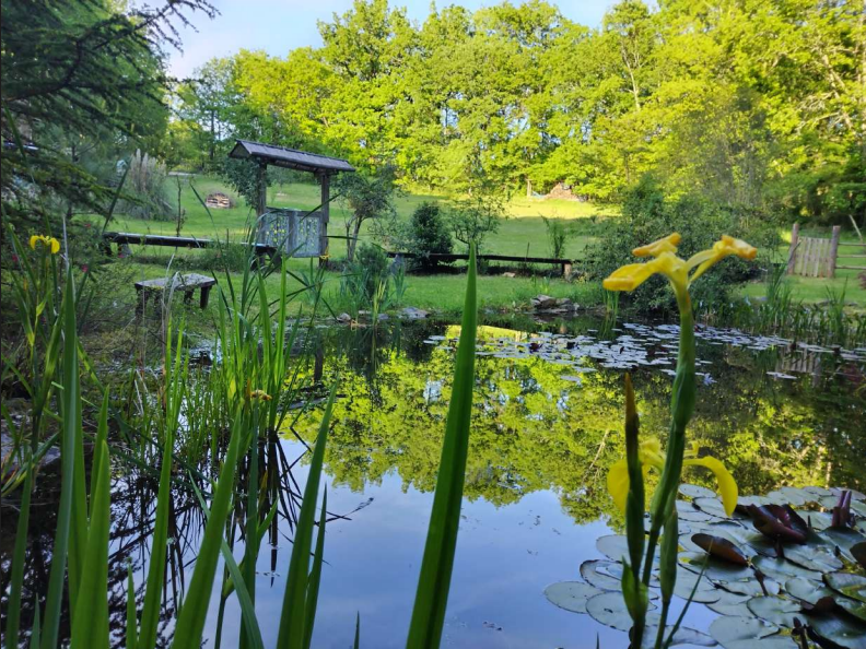 La Roulotte de l'Echappée Sauvage — Séjour relaxant avec spa à Lot-et-Garonne à Agen — vue depuis la terrasse