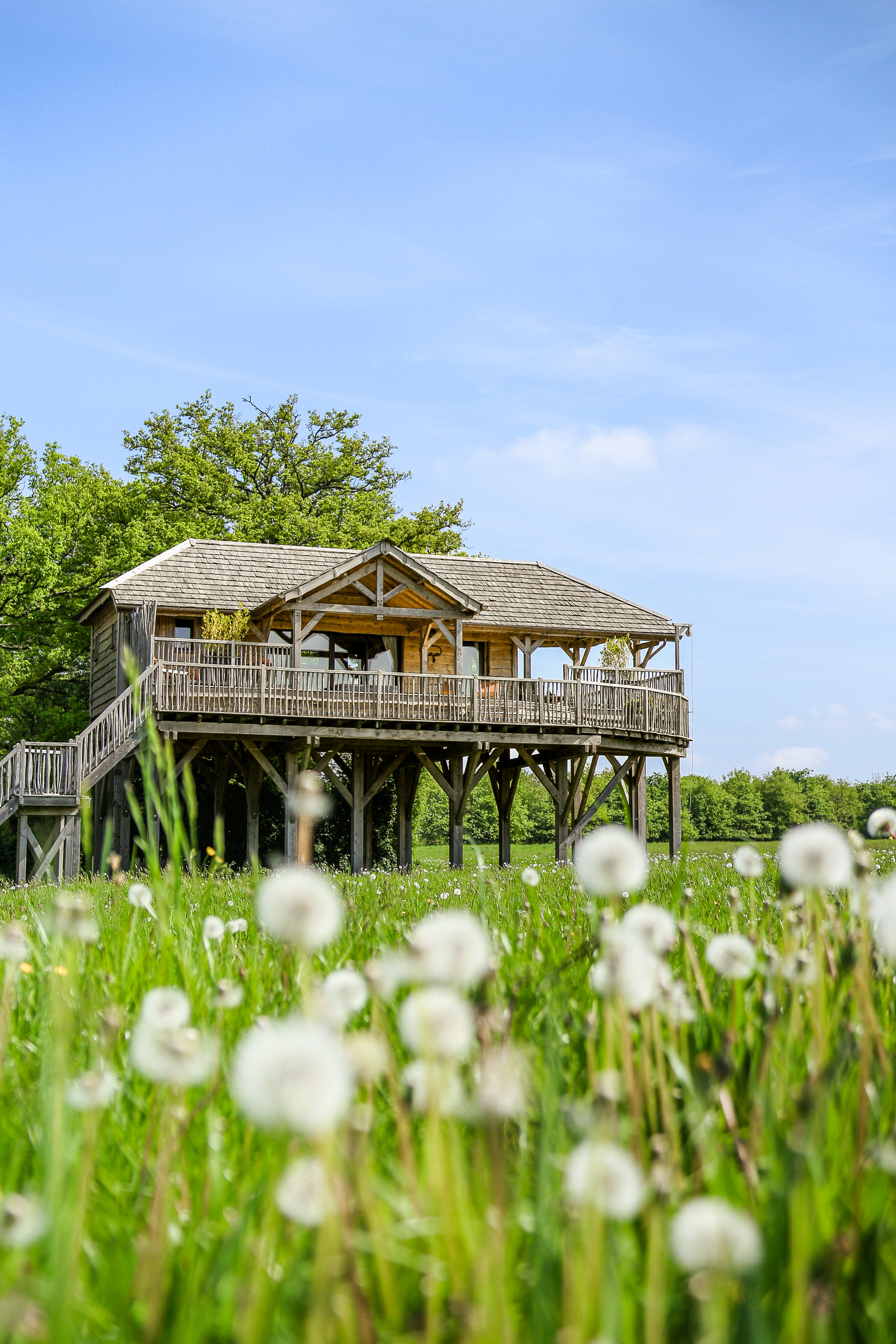 Cabane Spa du Bois de l’Epine : une évasion en hauteur — Cabane à Sace