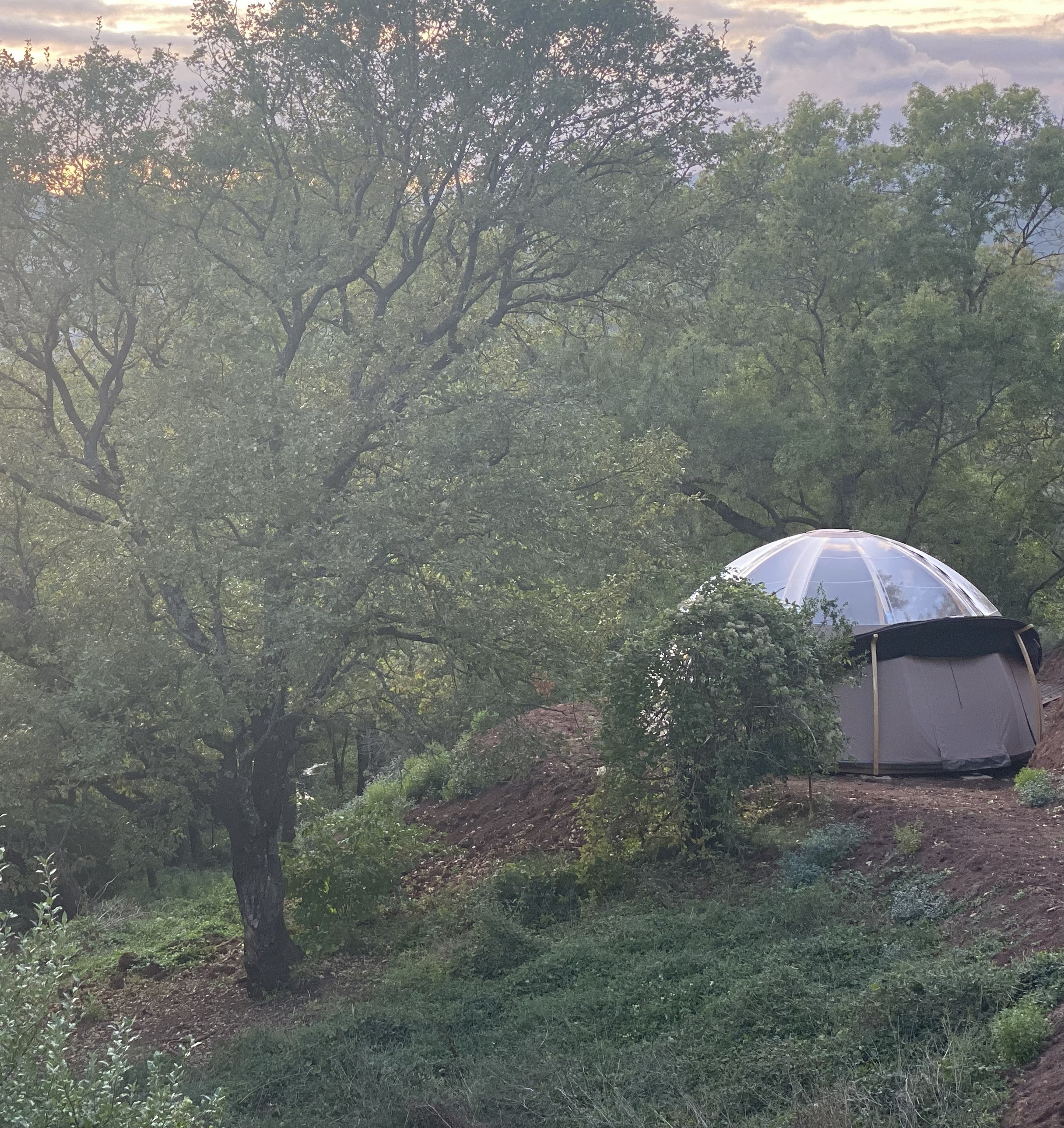 Bulle des Frênes — Nuit suspendue au-dessus d'un ruisseau en Hérault à Lodève — chambre