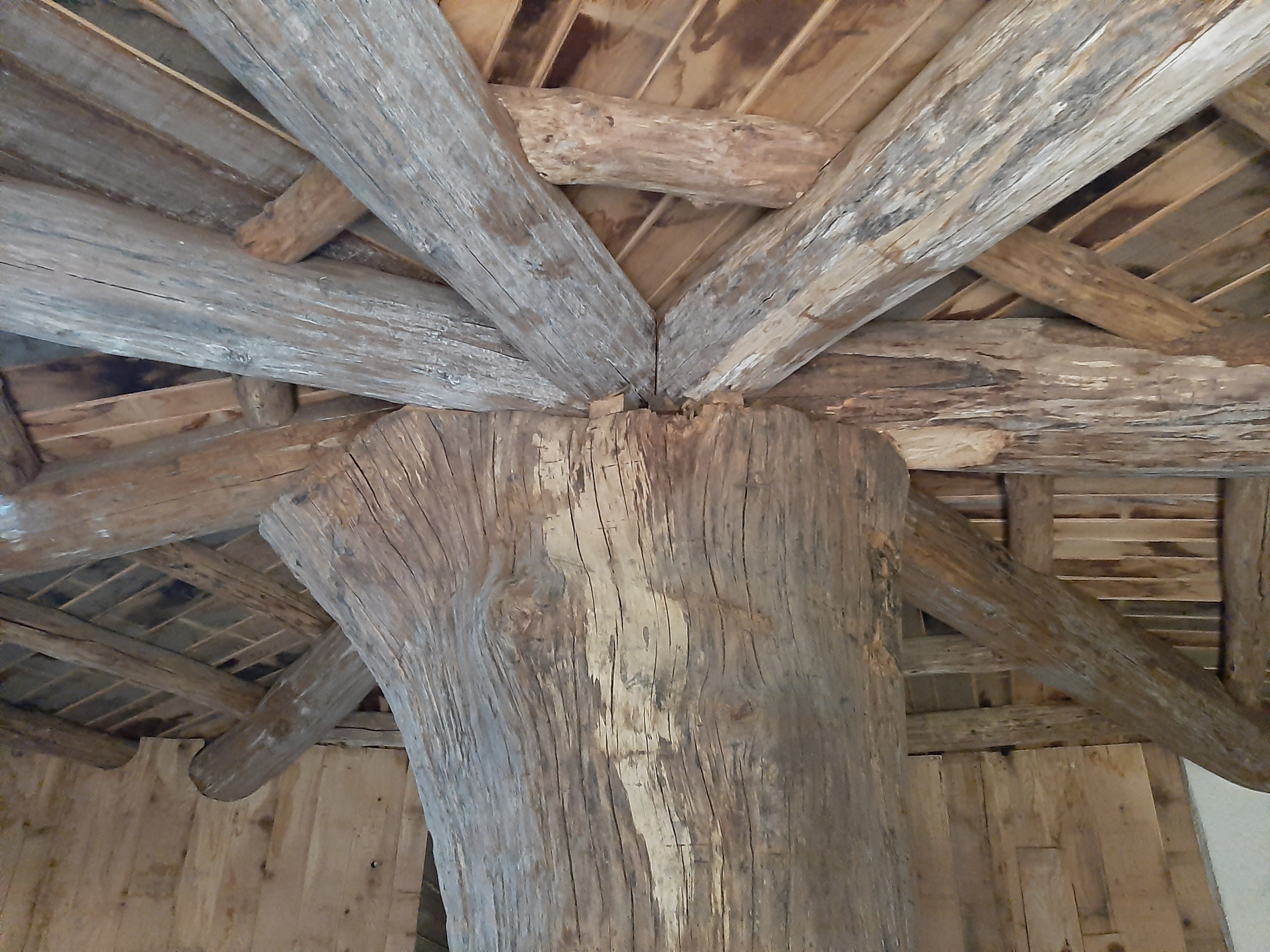 Cul de Loup — Cabane végétalisée avec spa à Chambord (Loir-et-Cher) à Chambord — vue depuis la terrasse